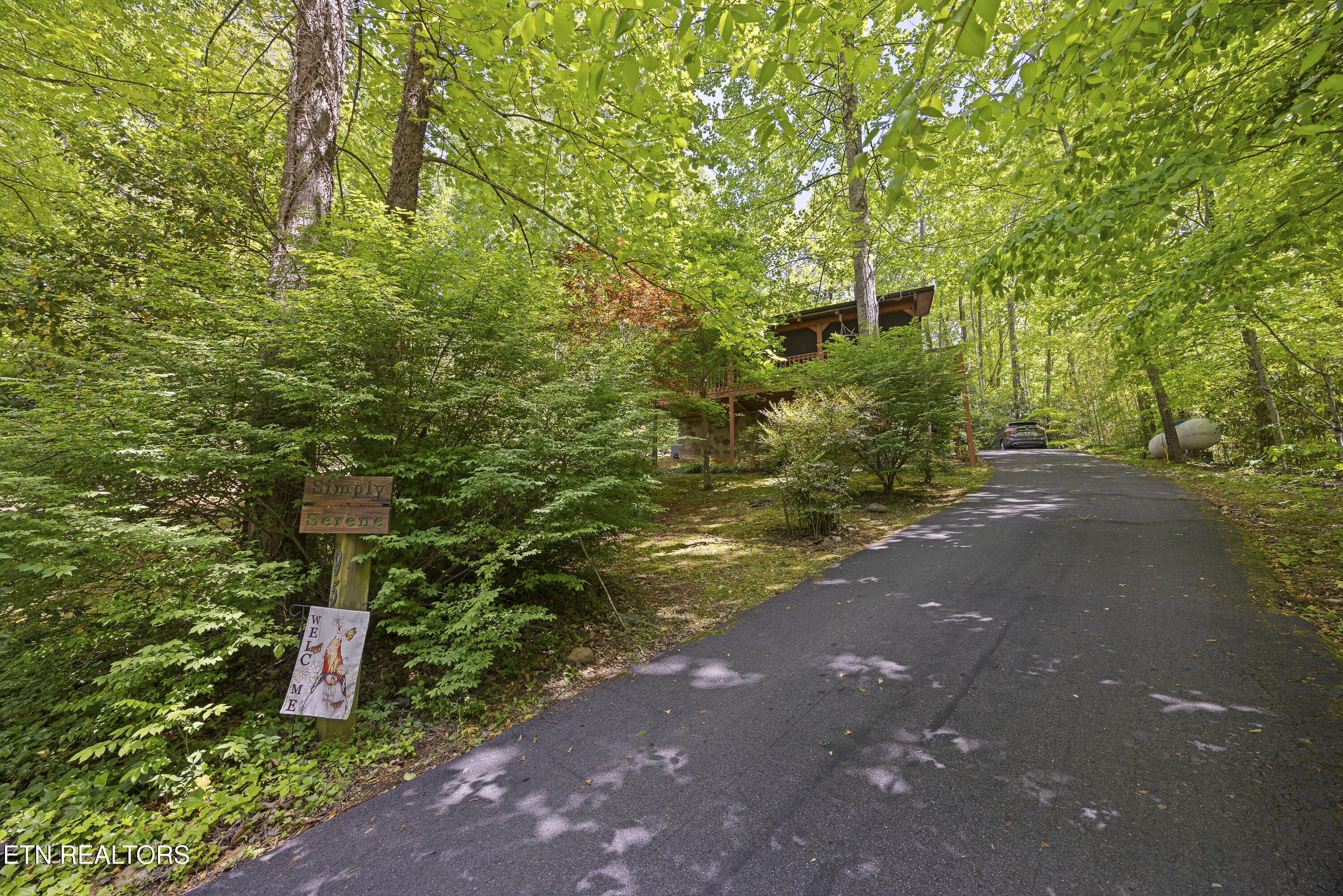 951 Emilyville Way Cosby TN 37722