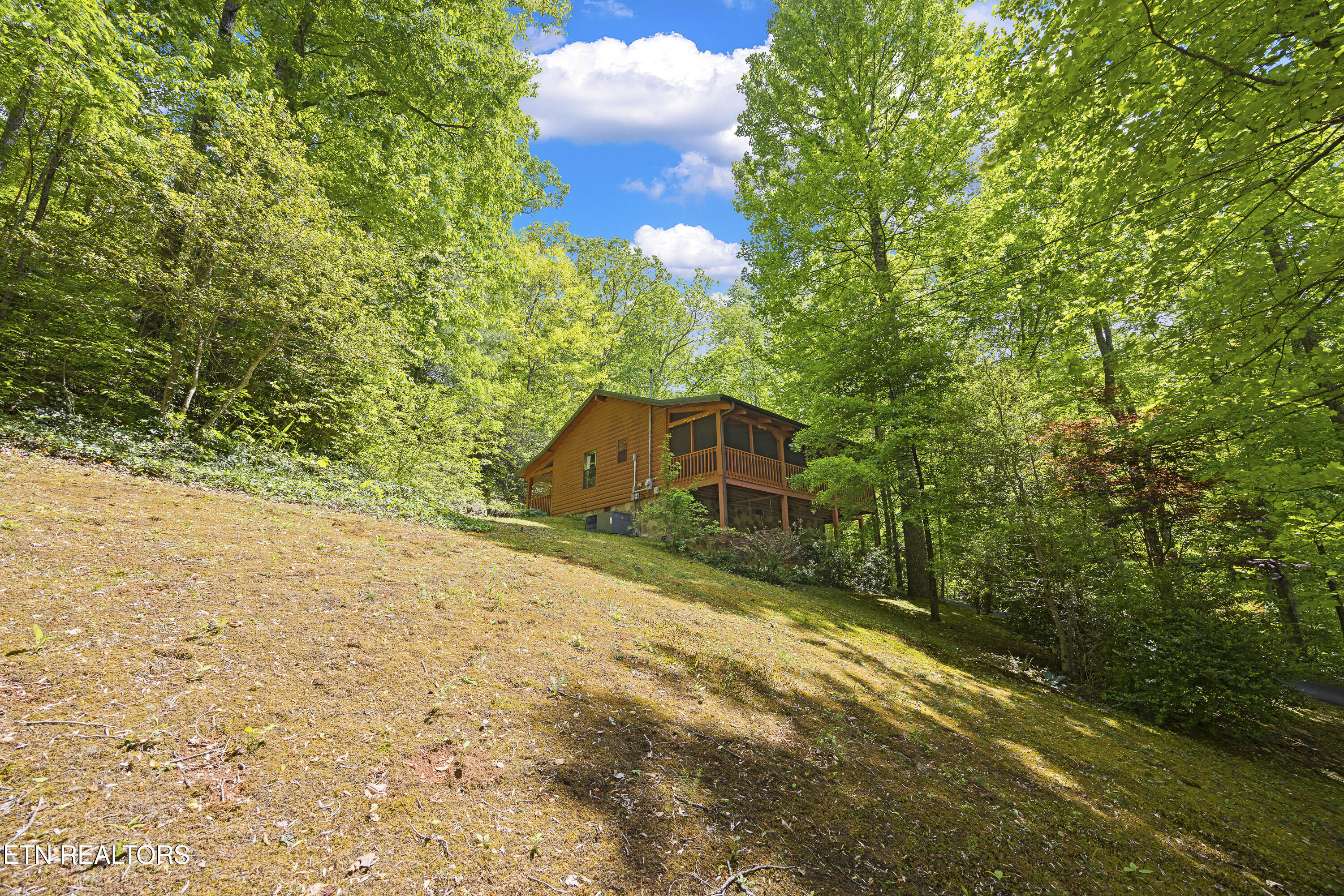 951 Emilyville Way Cosby TN 37722