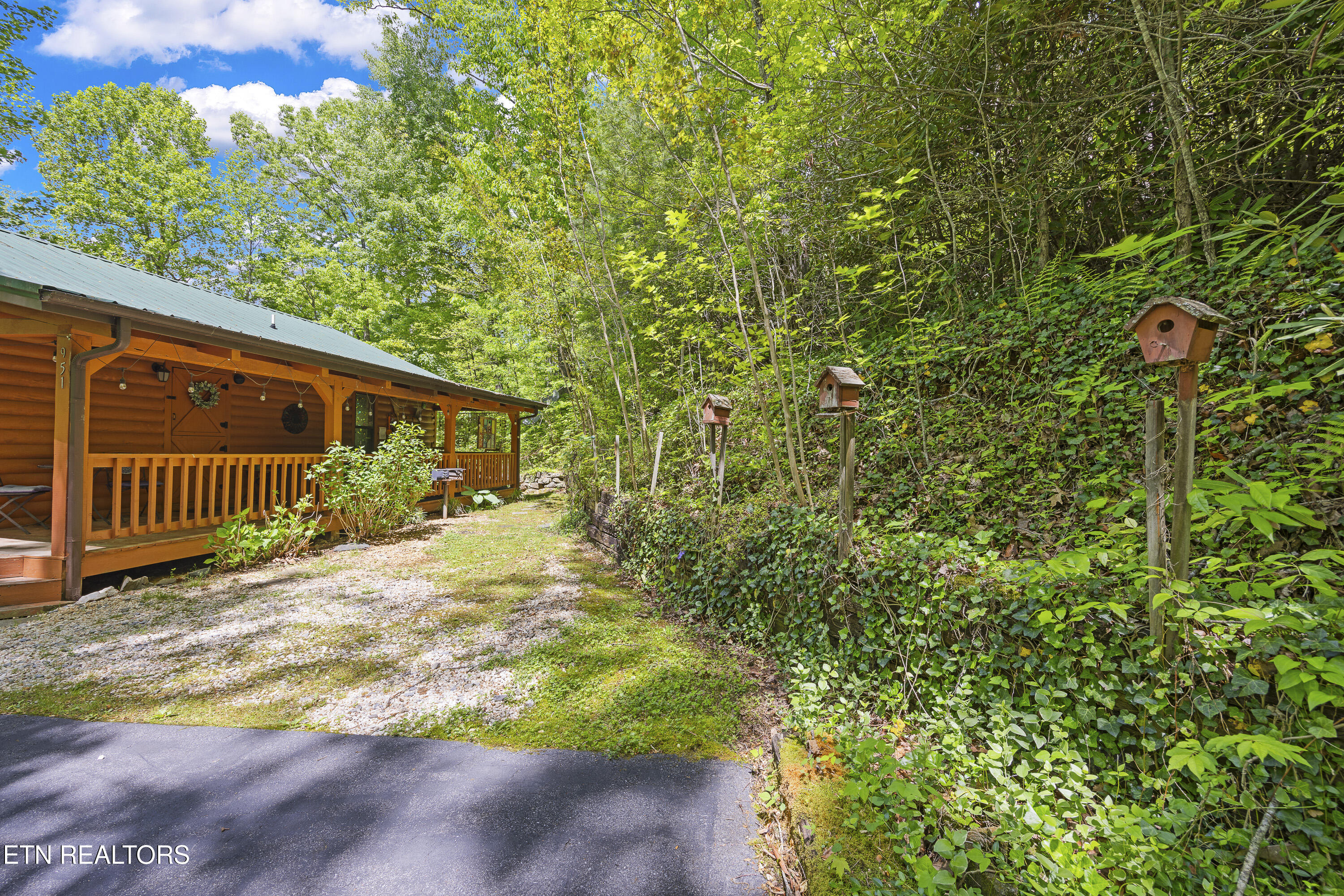 951 Emilyville Way Cosby TN 37722
