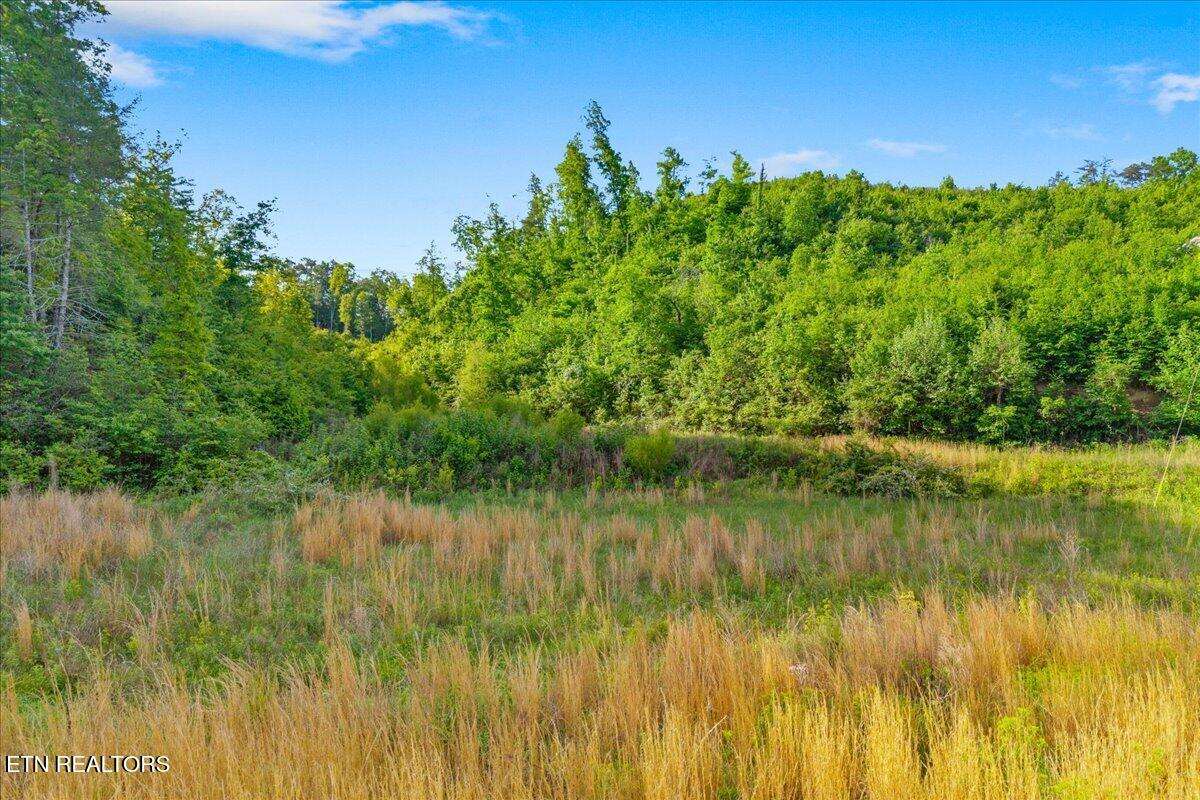 5673 Highway 360 Tellico Plains TN 37385