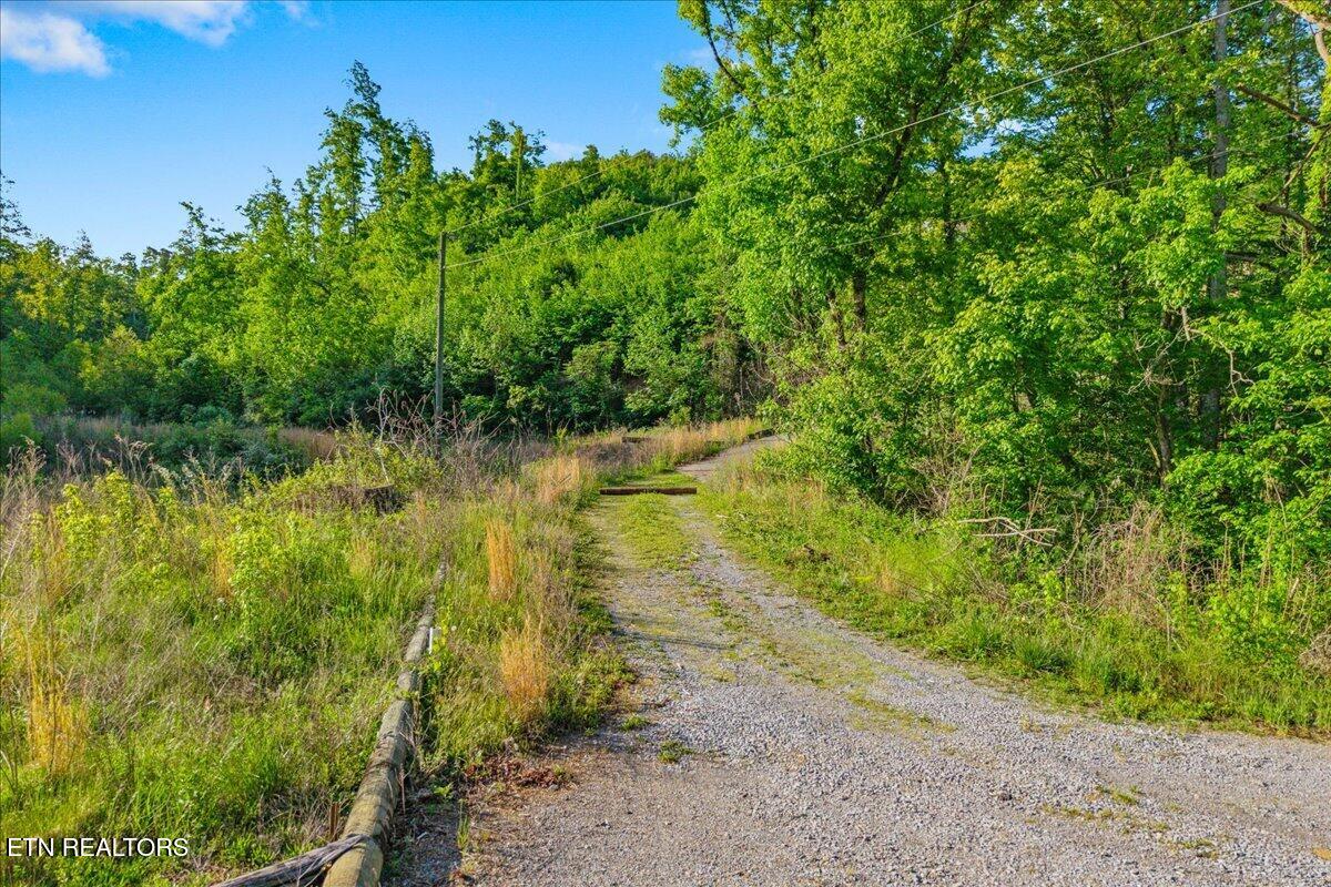 5673 Highway 360 Tellico Plains TN 37385