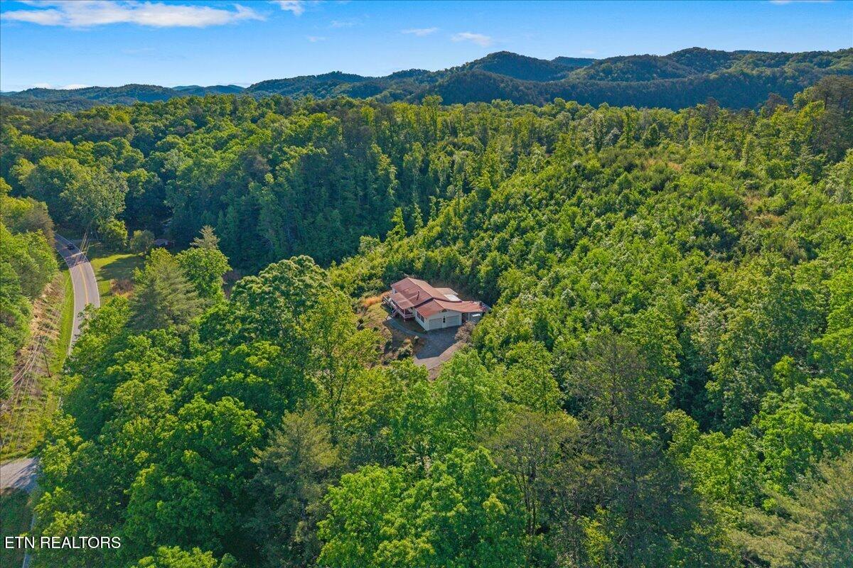 5673 Highway 360 Tellico Plains TN 37385