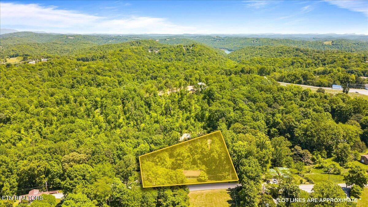 905 Pinecrest Road Jacksboro TN 37757