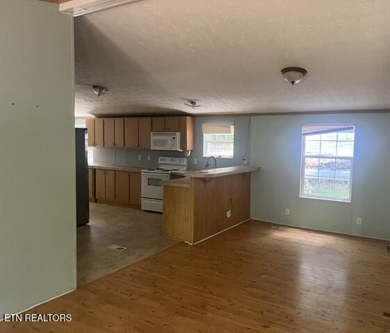125 Ball Rutledge TN 37861