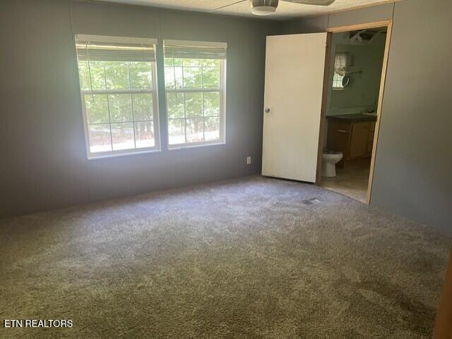 125 Ball Rutledge TN 37861