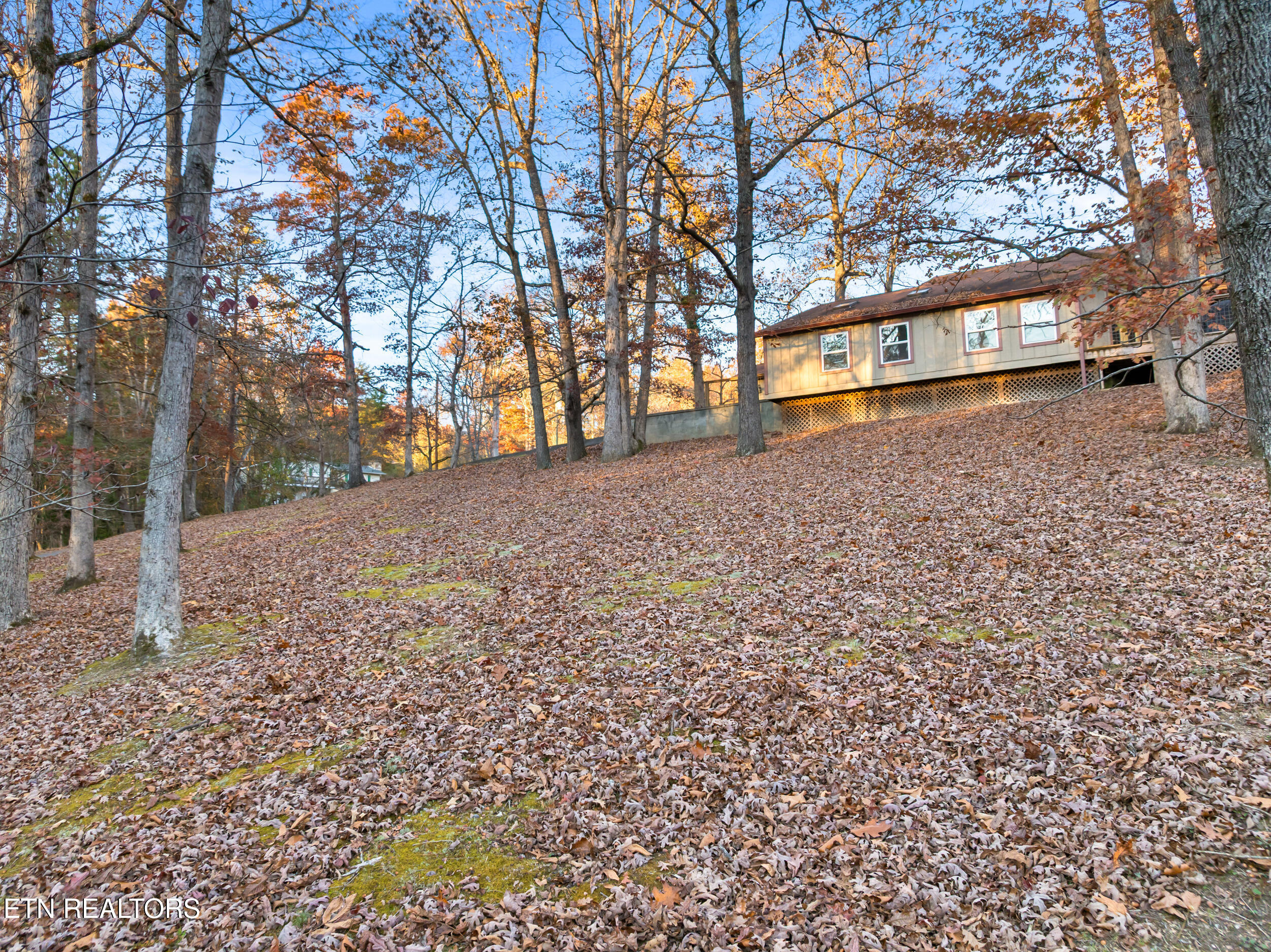 1634 Spruce Drive Sevierville TN 37876