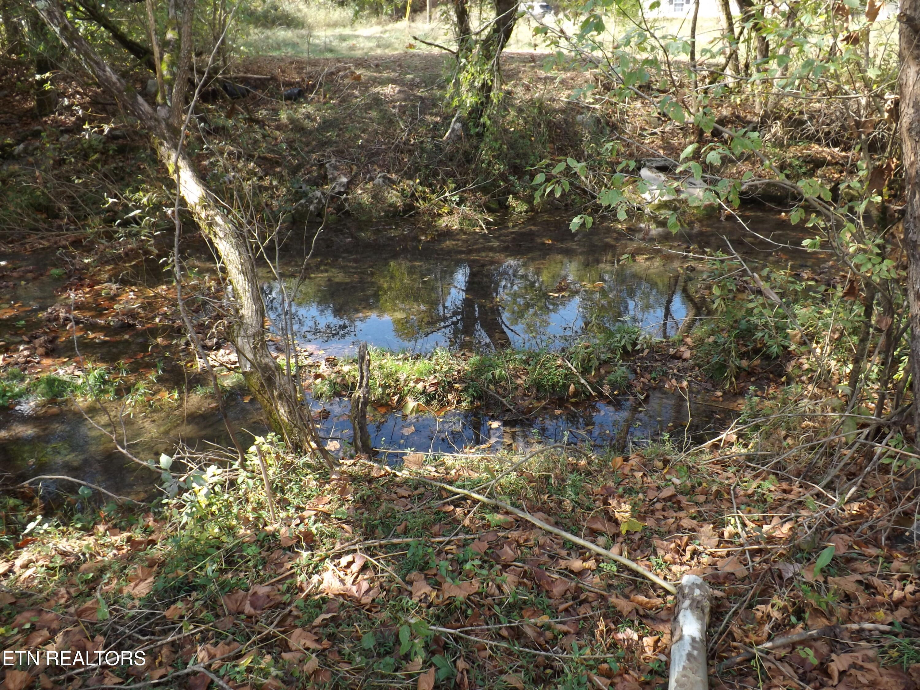 829 Bristol Road Harrogate TN 37752