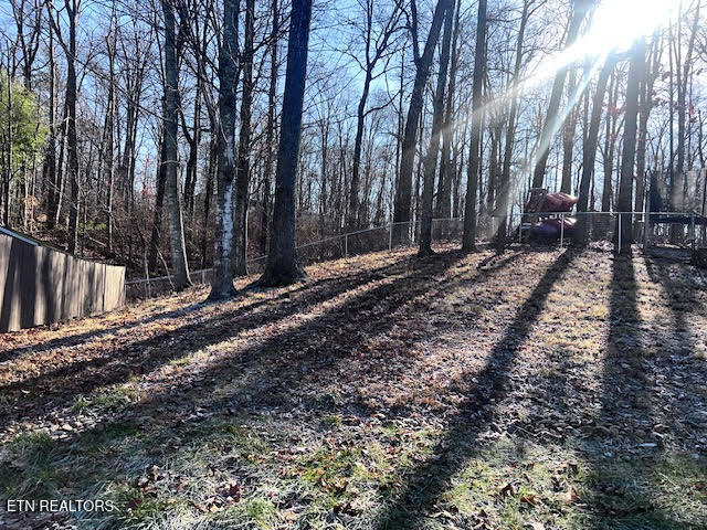 1516 Weeping Willow Court Knoxville TN 37931