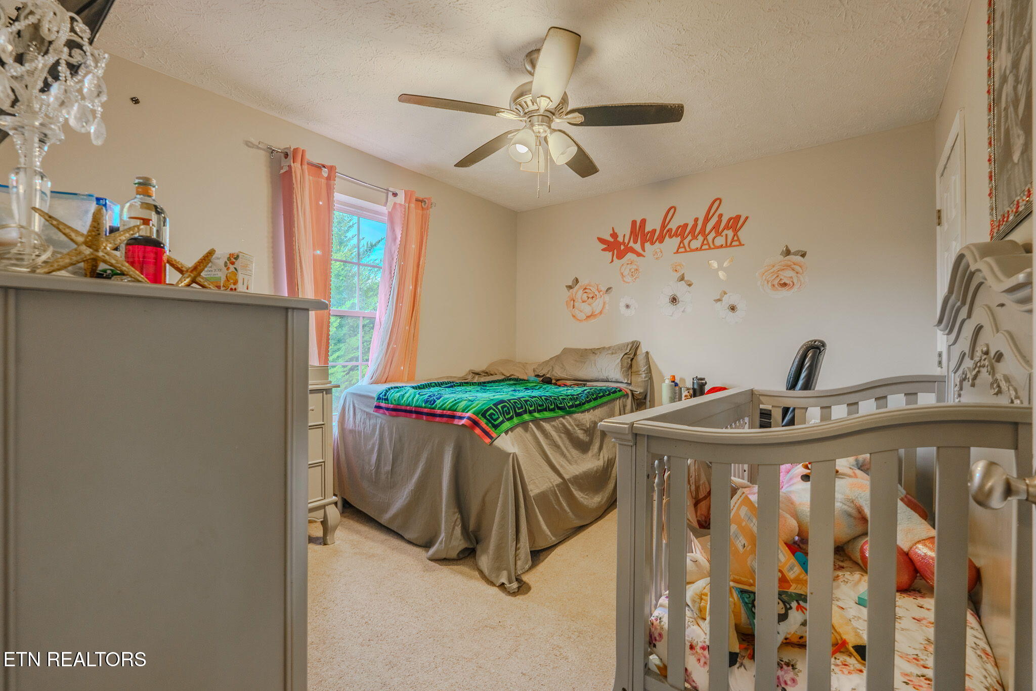 1409 Snapp Road Sevierville TN 37862