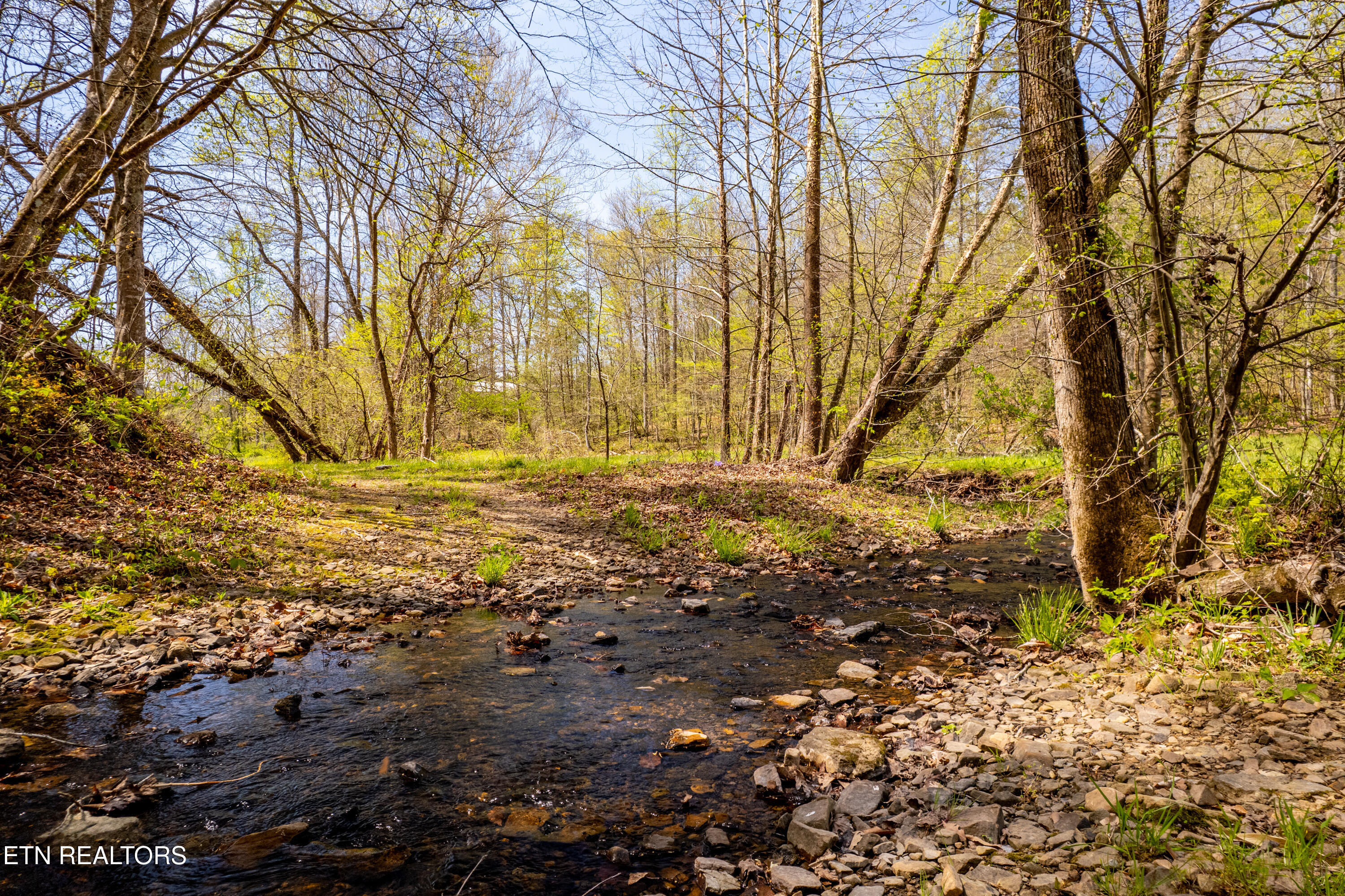 596 Byrams Fork Road Andersonville TN 37705