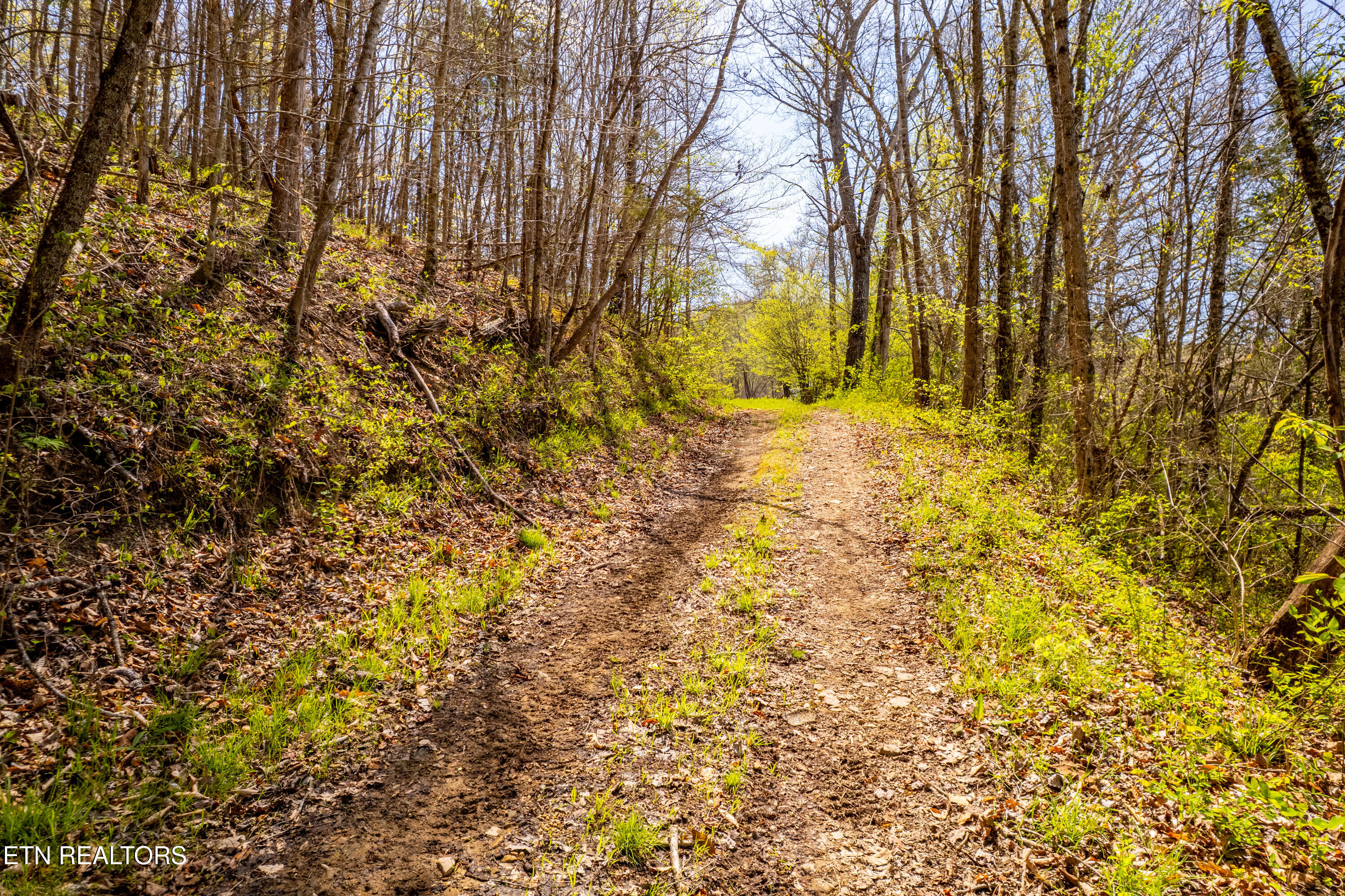 596 Byrams Fork Road Andersonville TN 37705