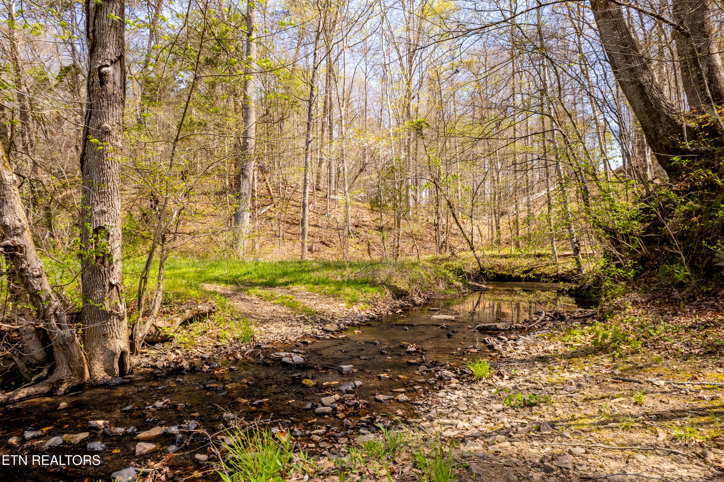 596 Byrams Fork Road Andersonville TN 37705