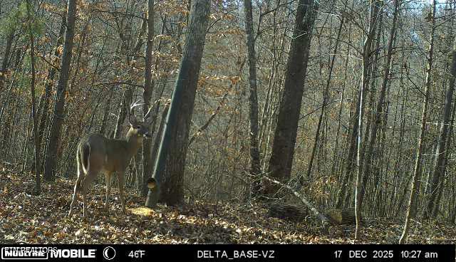 596 Byrams Fork Road Andersonville TN 37705
