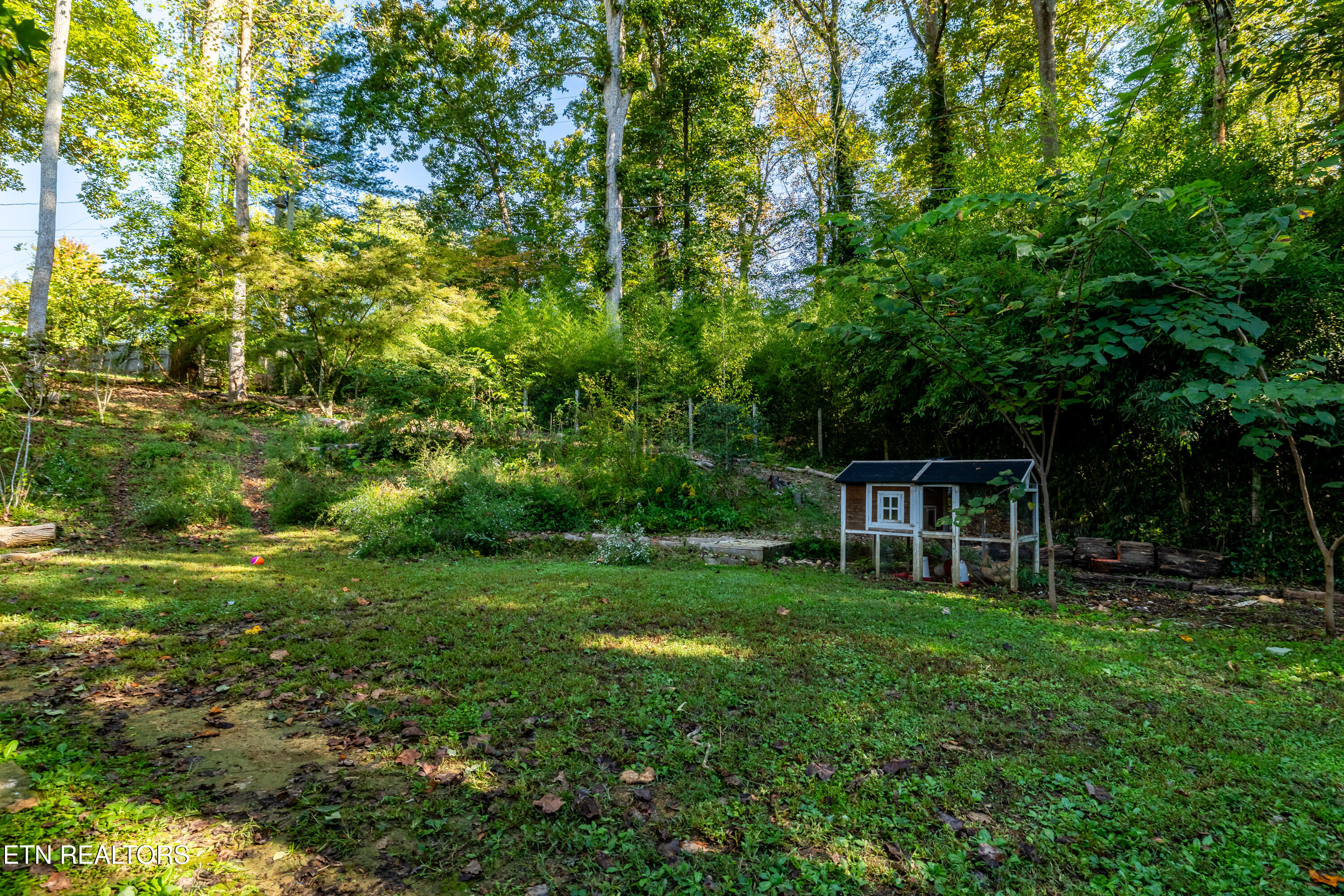 202 Maple Loop Road Knoxville TN 37920