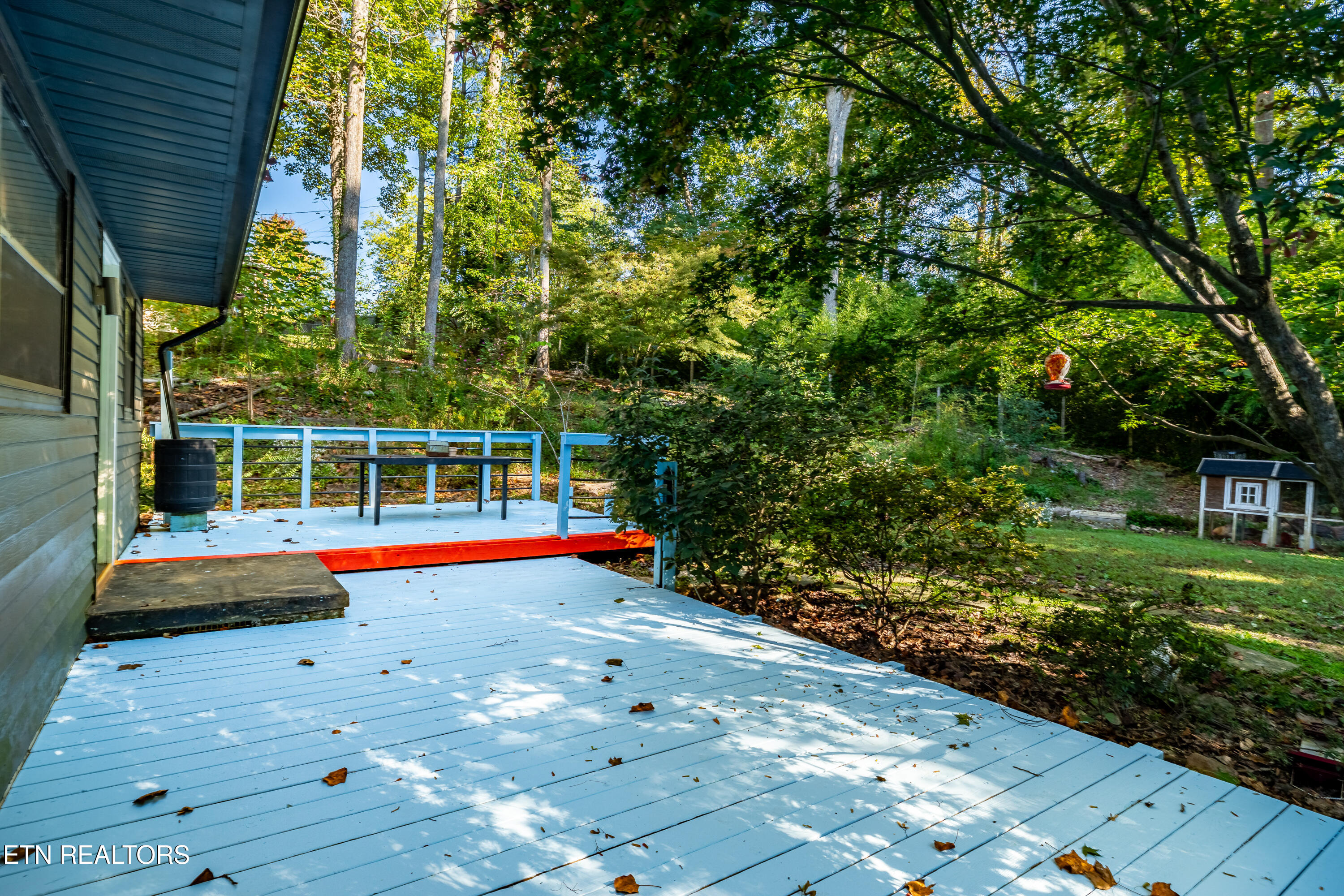 202 Maple Loop Road Knoxville TN 37920