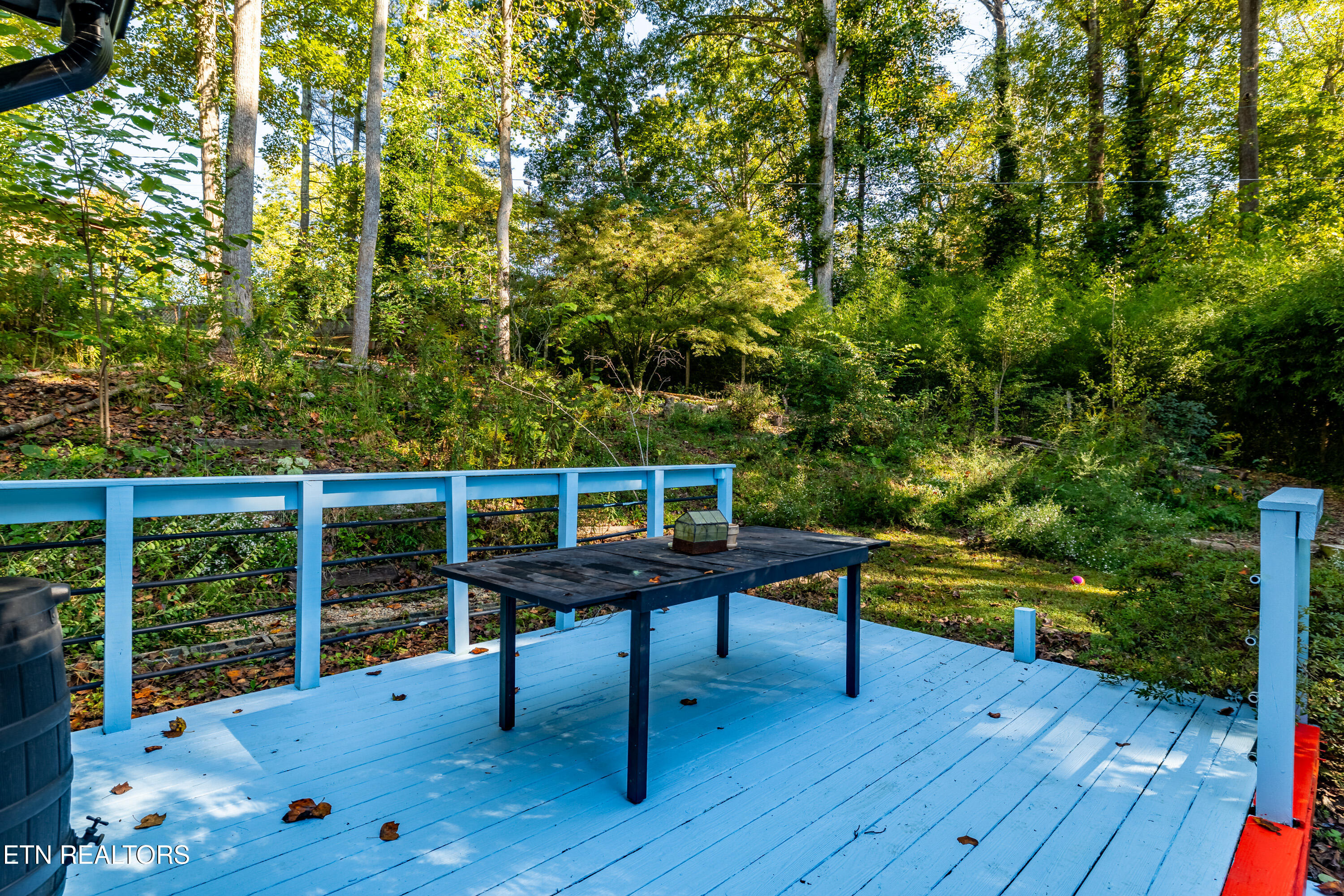 202 Maple Loop Road Knoxville TN 37920