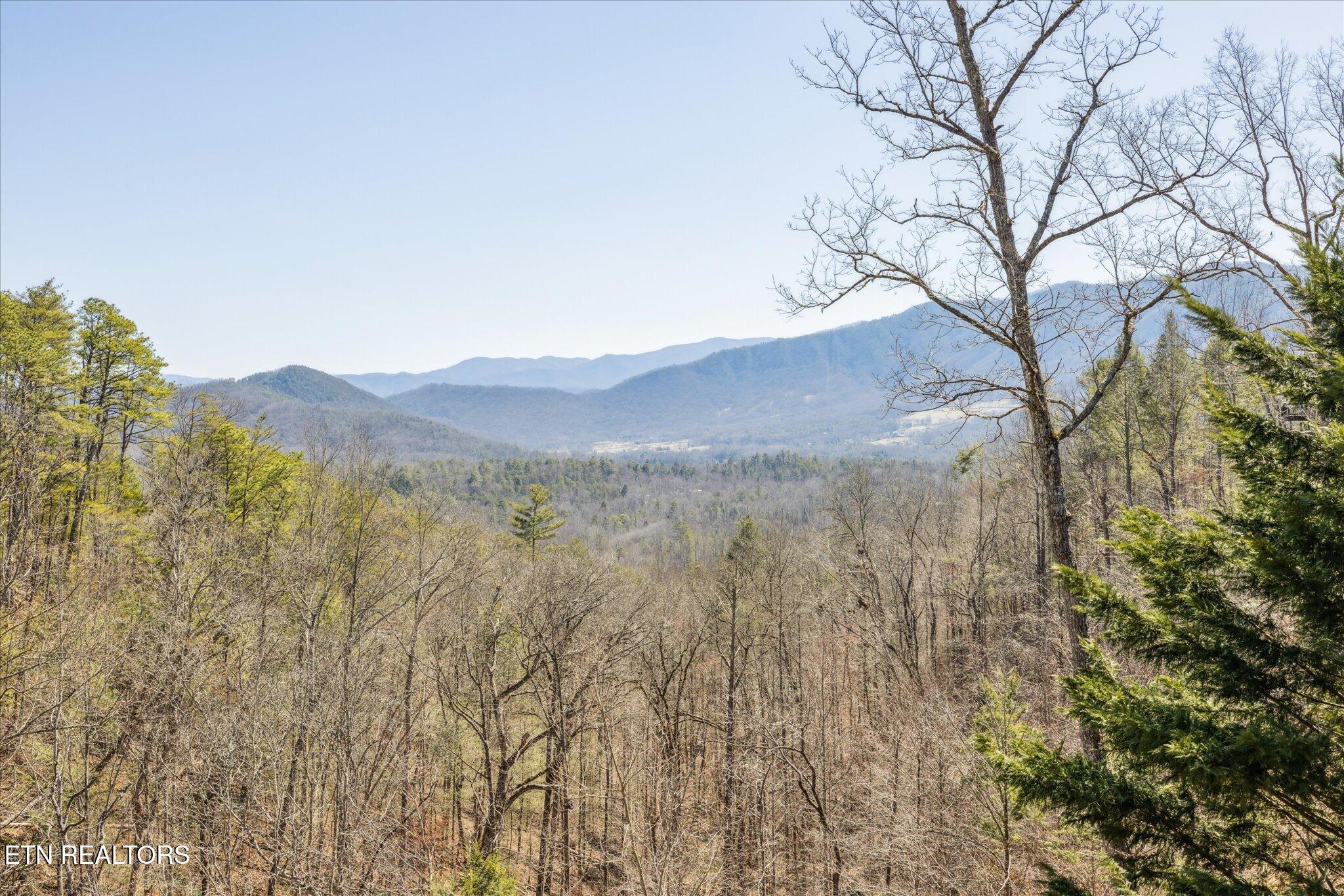 228 Tolliver Trail Townsend TN 37882