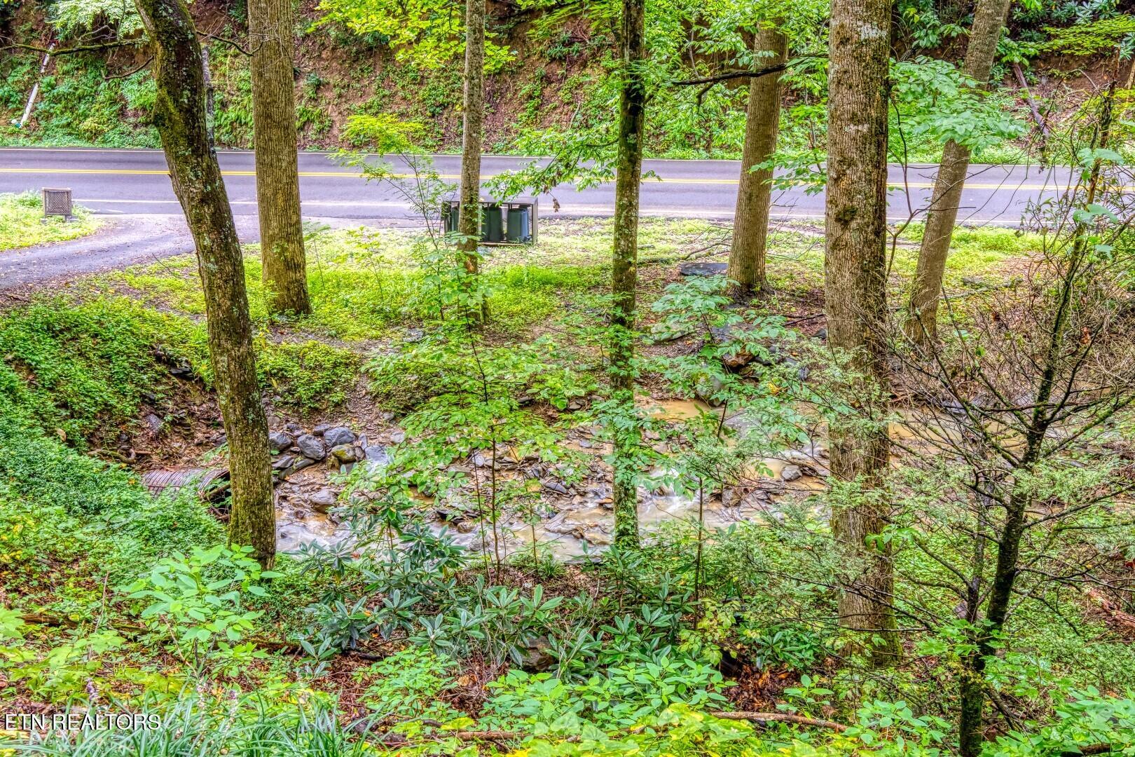1134 Ski Mountain Road Gatlinburg TN 37738