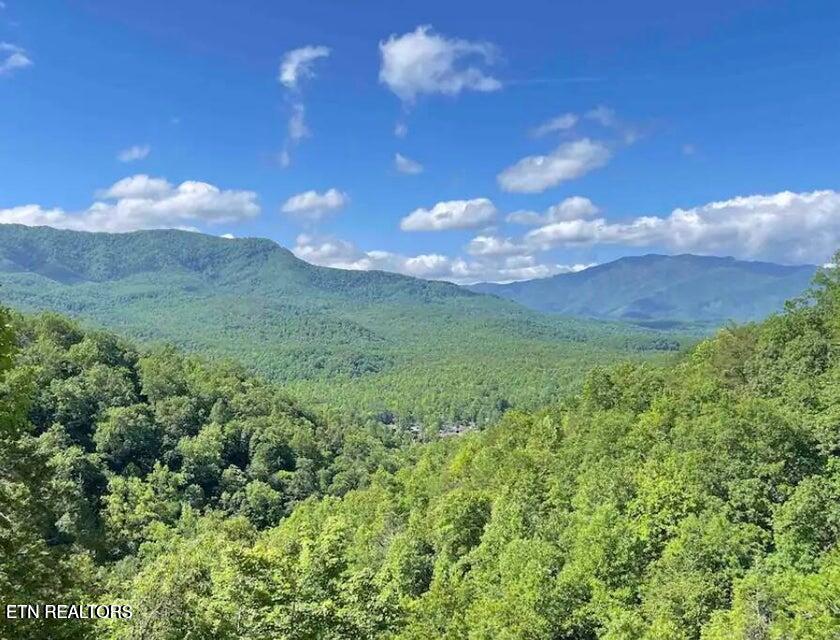 842 Vixen Gatlinburg TN 37738