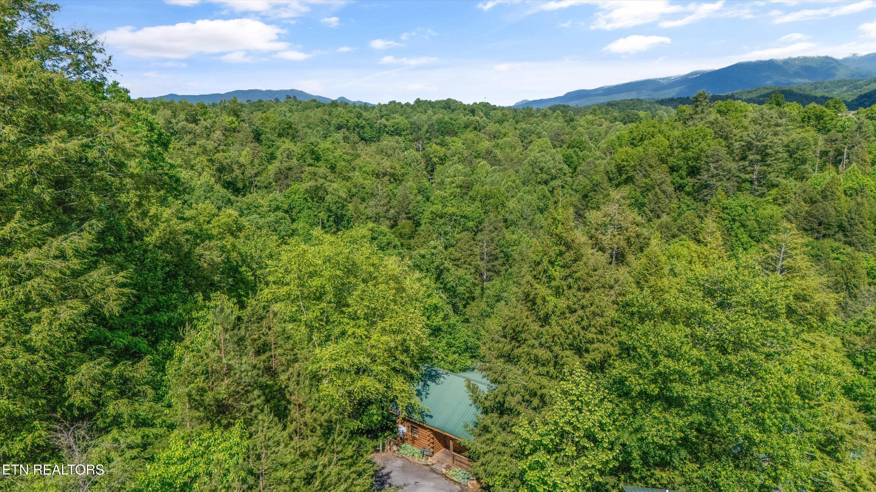 1613 Misty Hollow Way Gatlinburg TN 37738