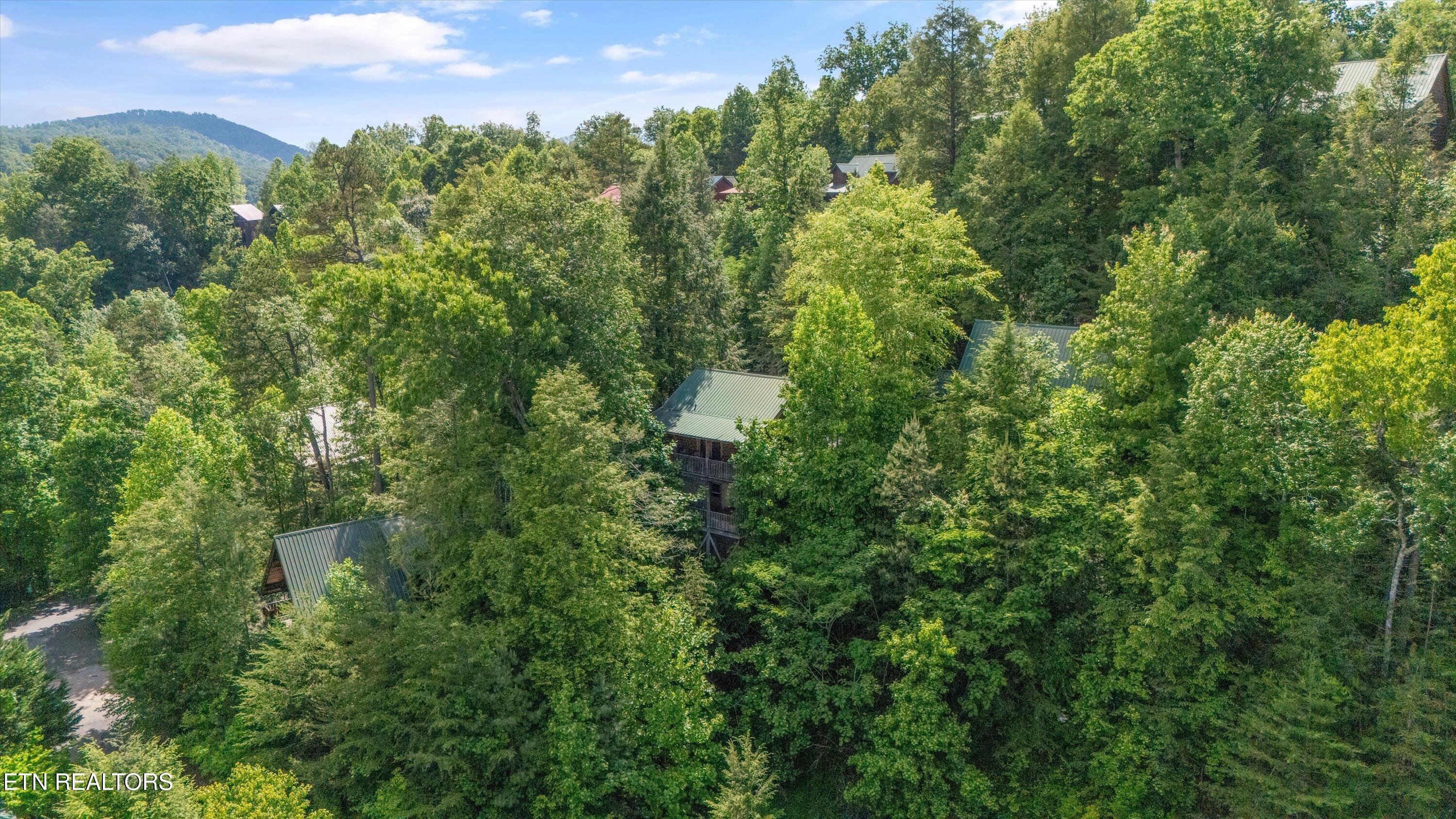 1613 Misty Hollow Way Gatlinburg TN 37738