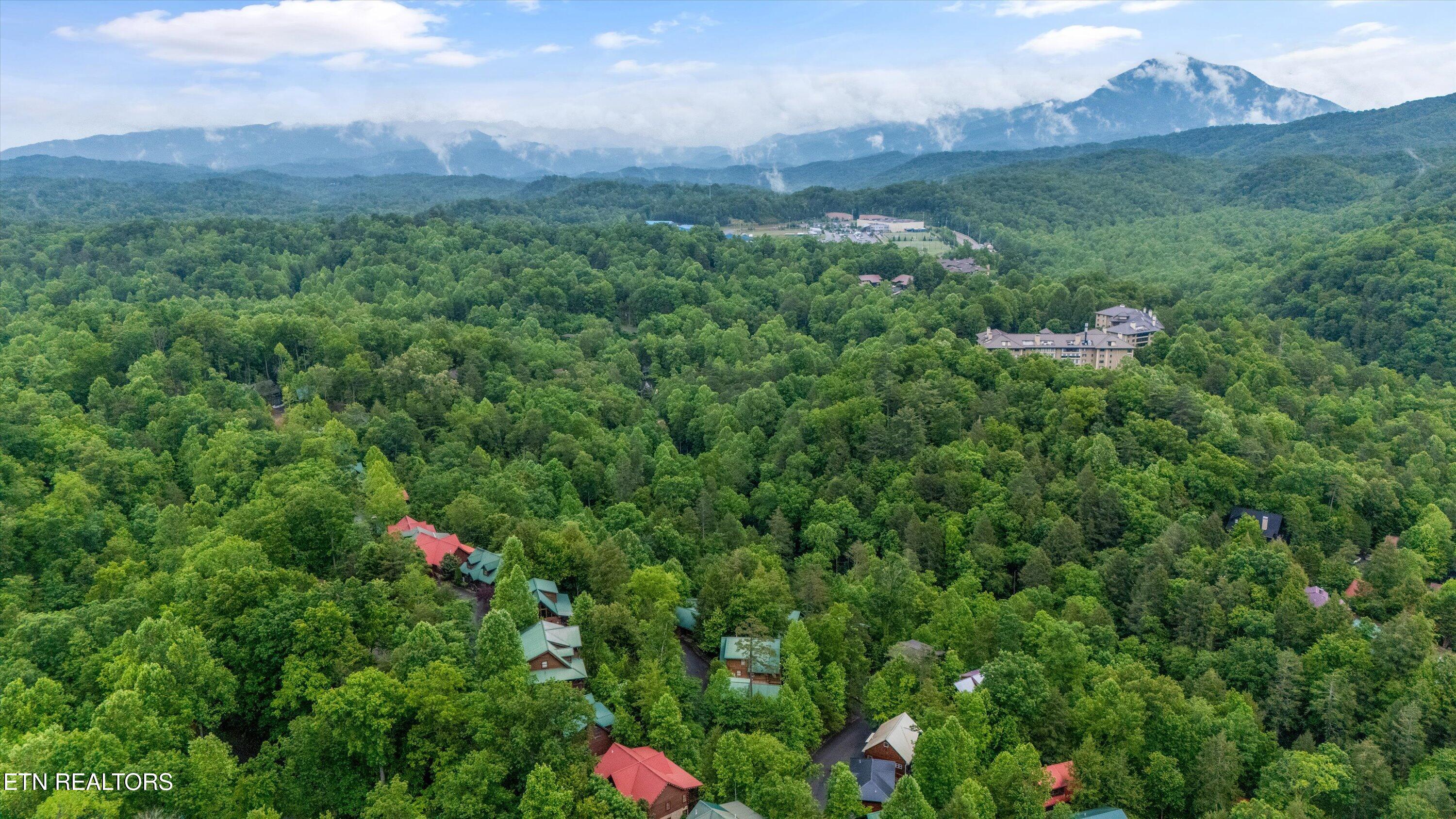 1613 Misty Hollow Way Gatlinburg TN 37738