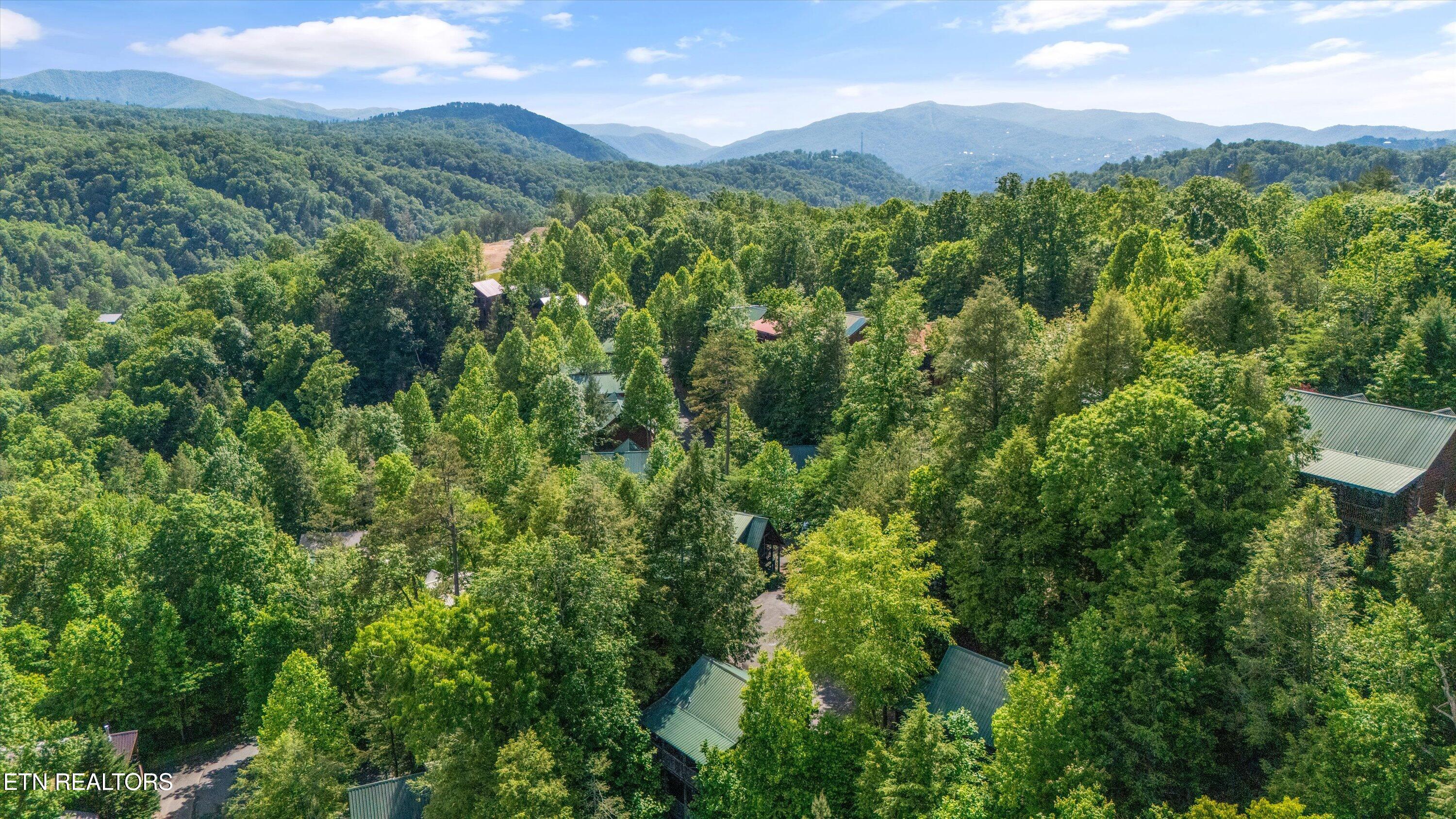 1613 Misty Hollow Way Gatlinburg TN 37738