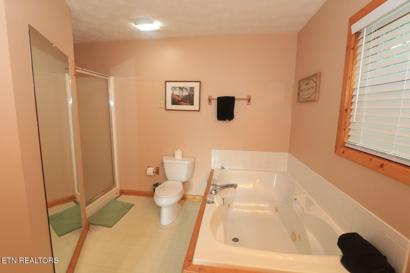 3609 Shady Grove Court Sevierville TN 37876
