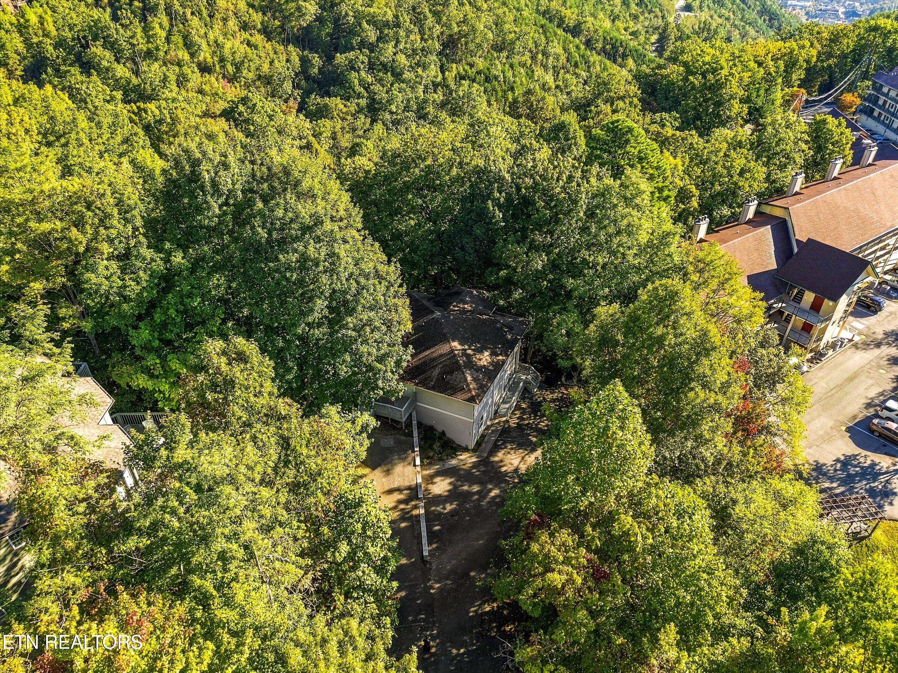 838 Holly Branch Road Gatlinburg TN 37738
