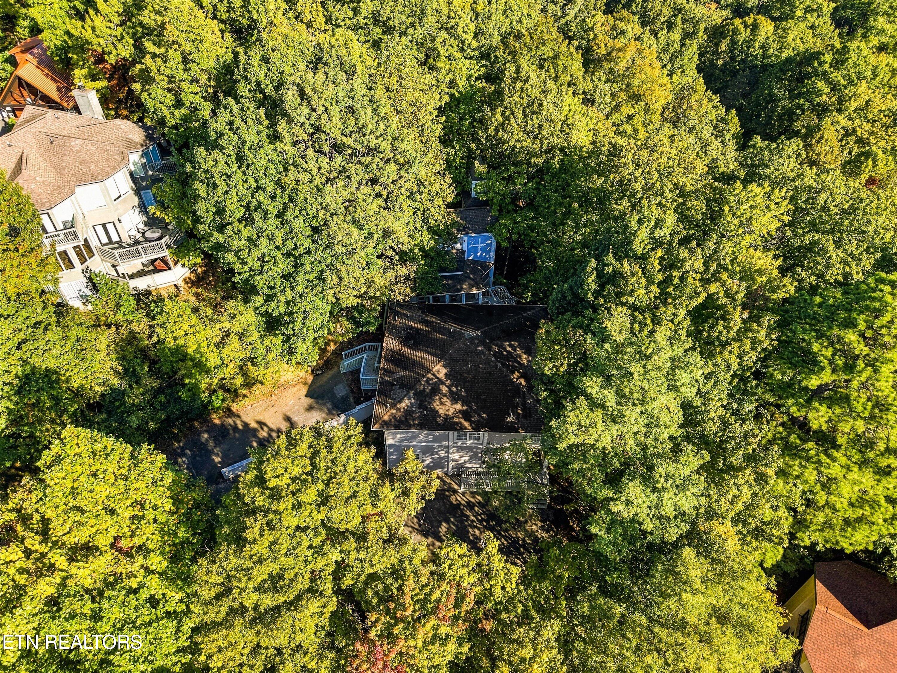 838 Holly Branch Road Gatlinburg TN 37738