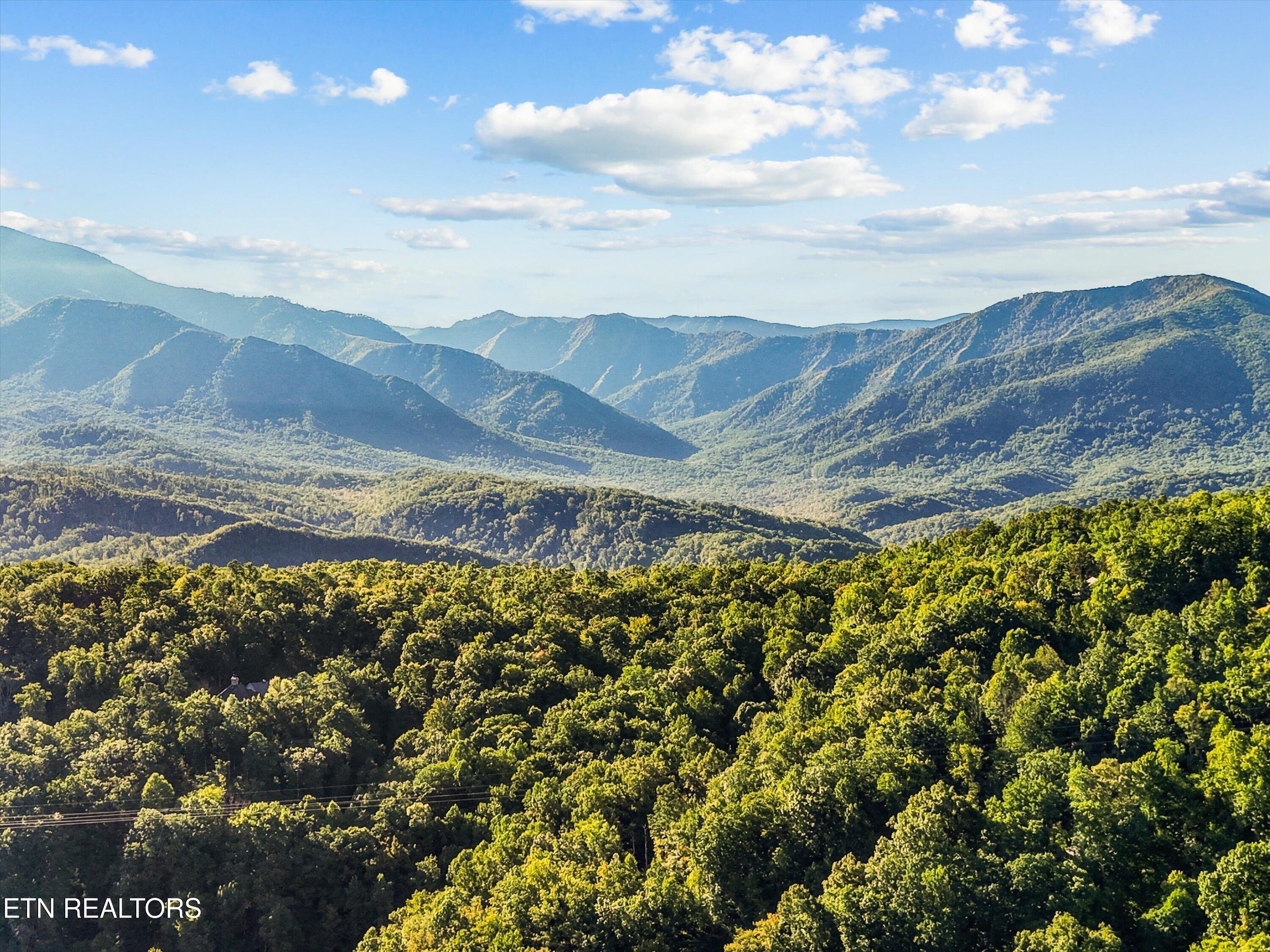 838 Holly Branch Road Gatlinburg TN 37738