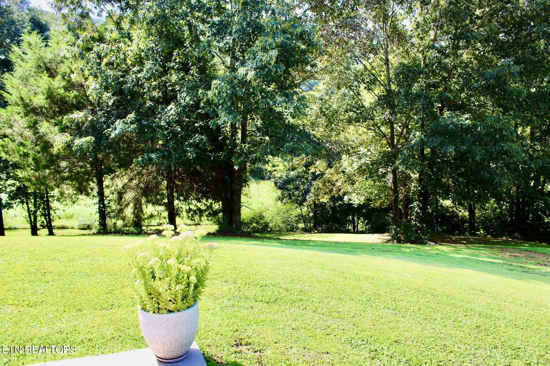 405 Beard Valley Road Maynardville TN 37807