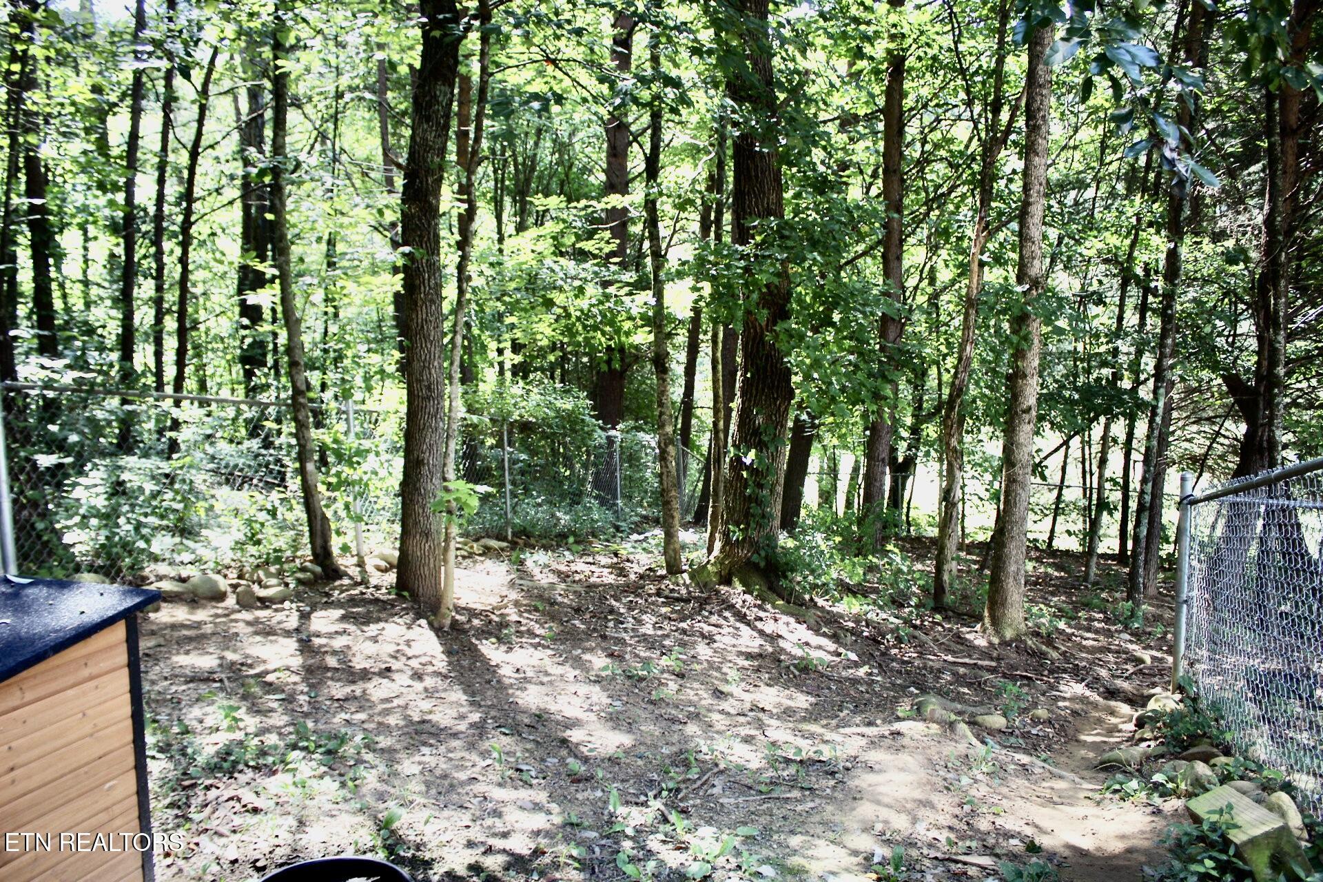 405 Beard Valley Road Maynardville TN 37807