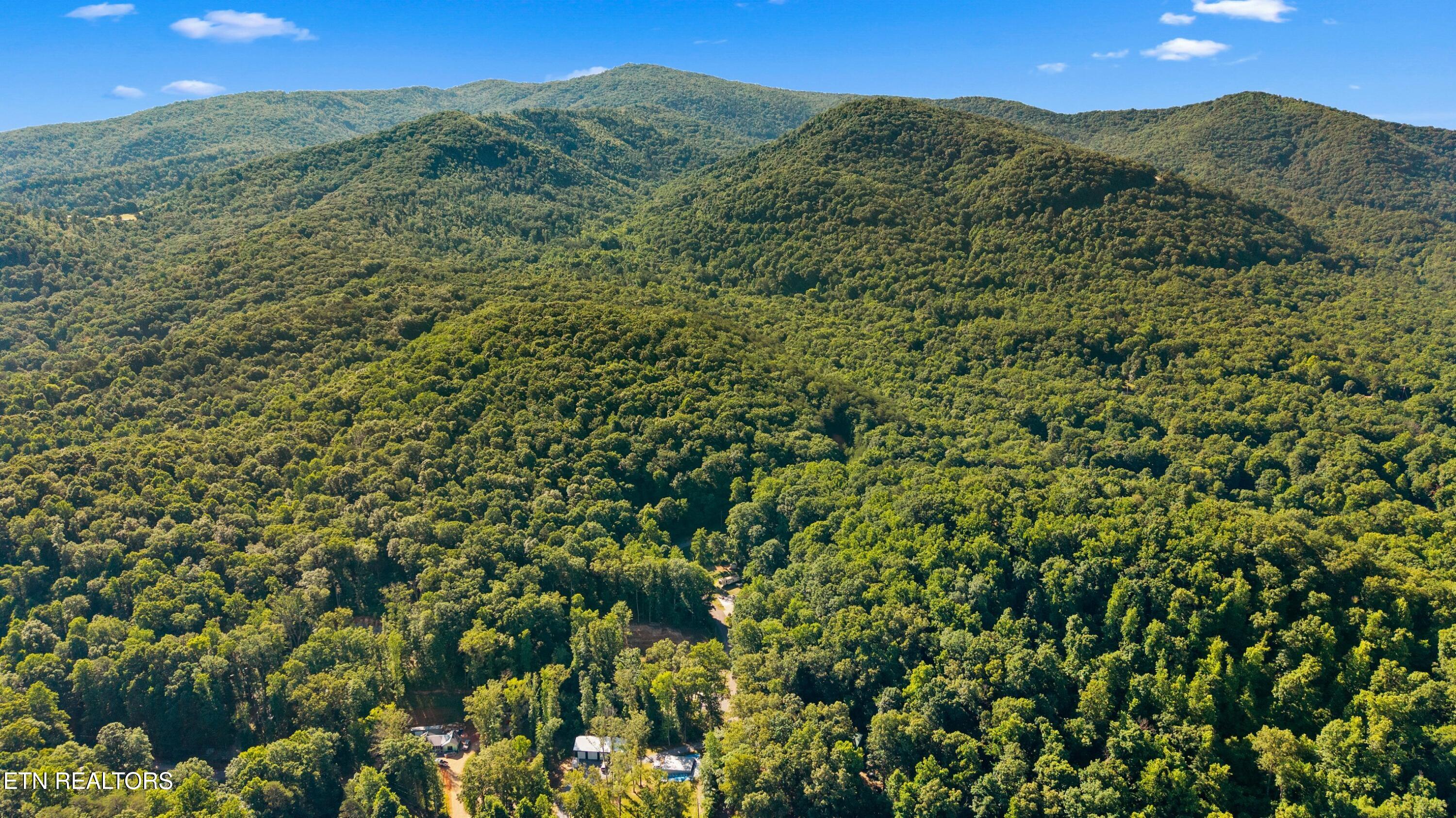 858 Sleepy Hollow Road Newport TN 37821