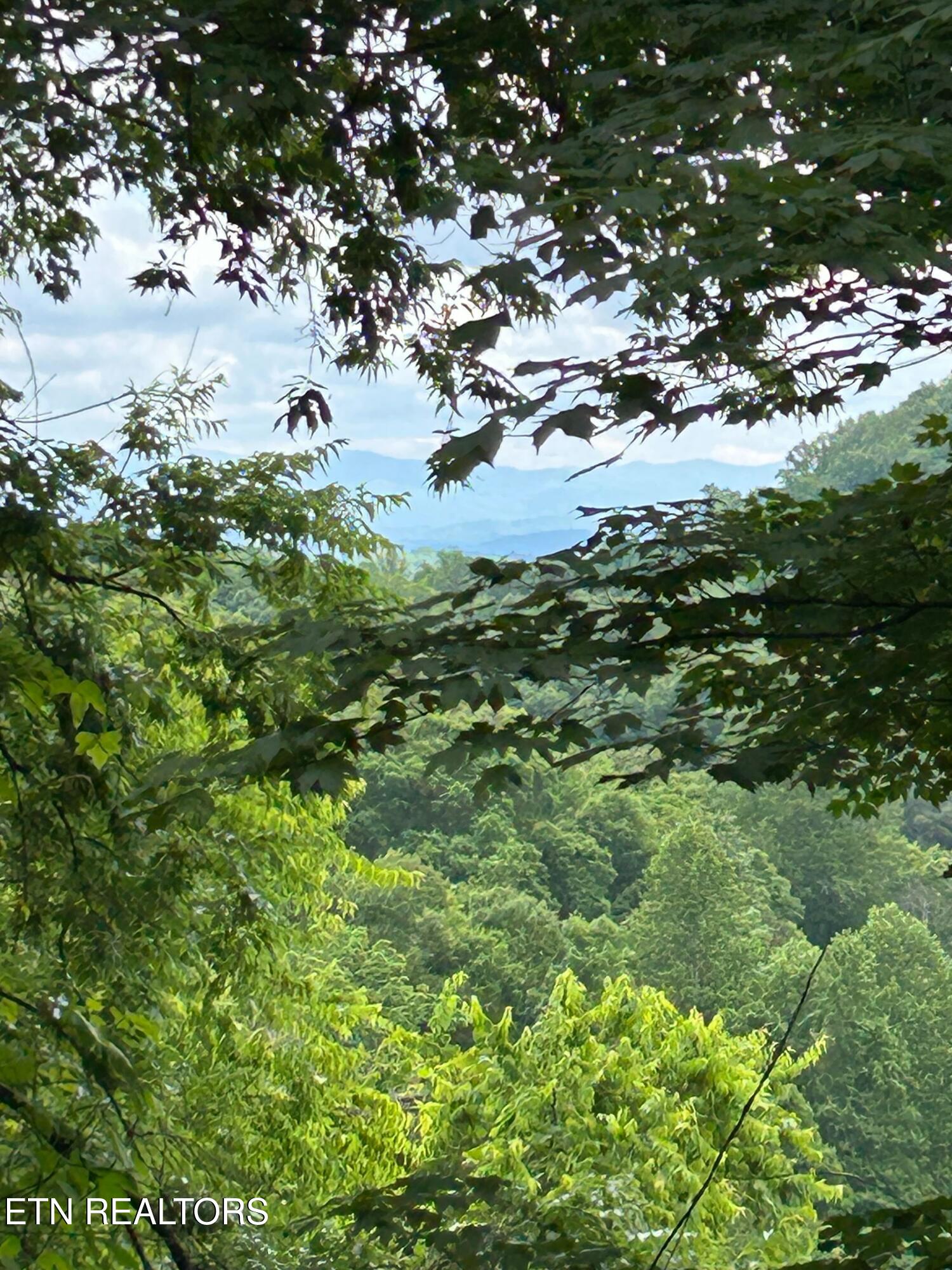 188 Happy Hollow Road Madisonville TN 37354