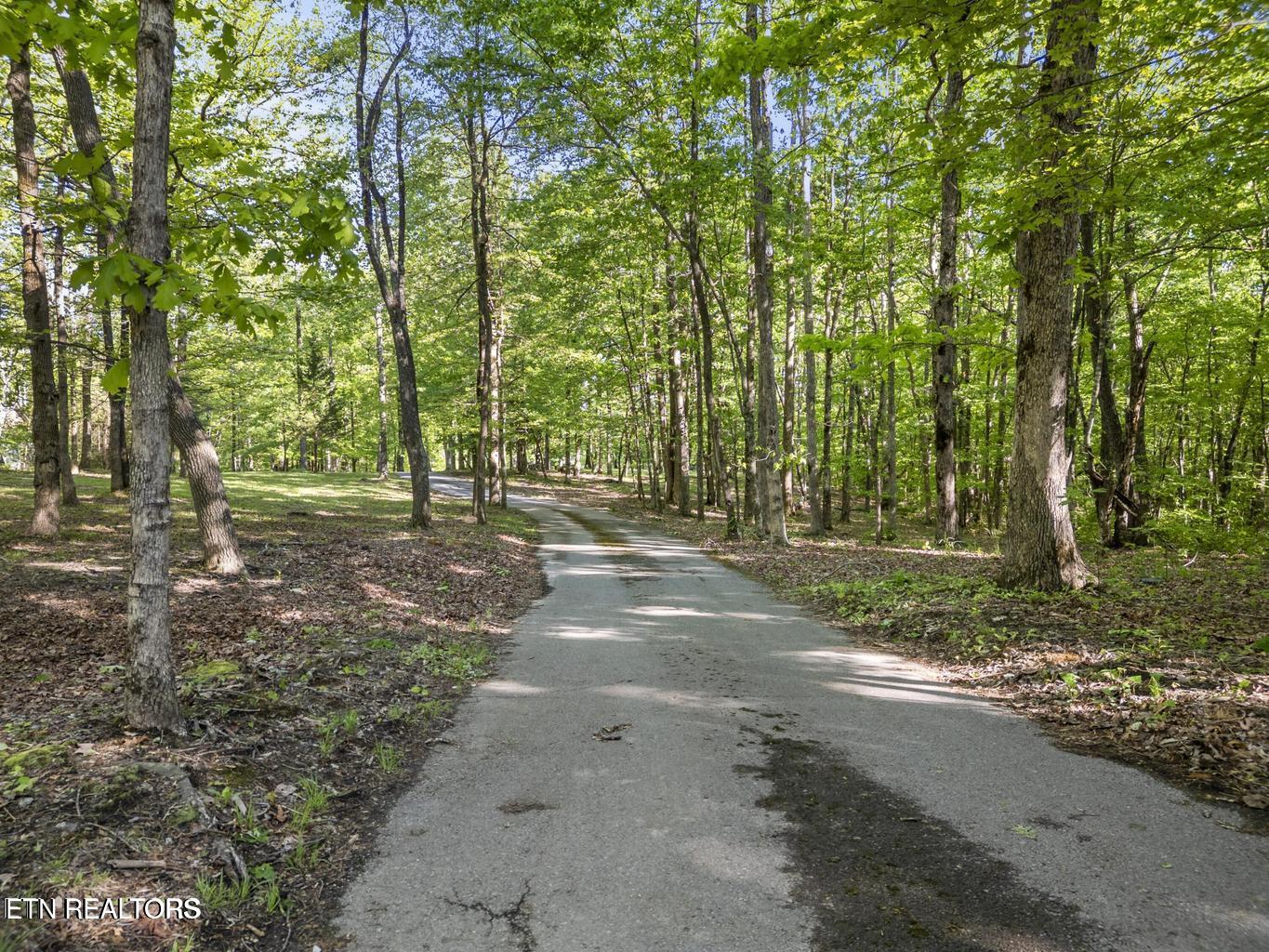 513 Cumberland Cove Road Monterey TN 38574