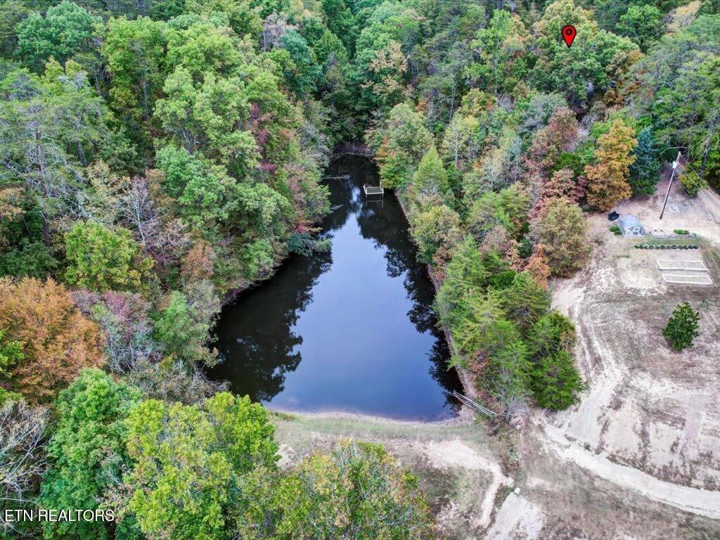 434 Henry Clark Lane Rutledge TN 37861