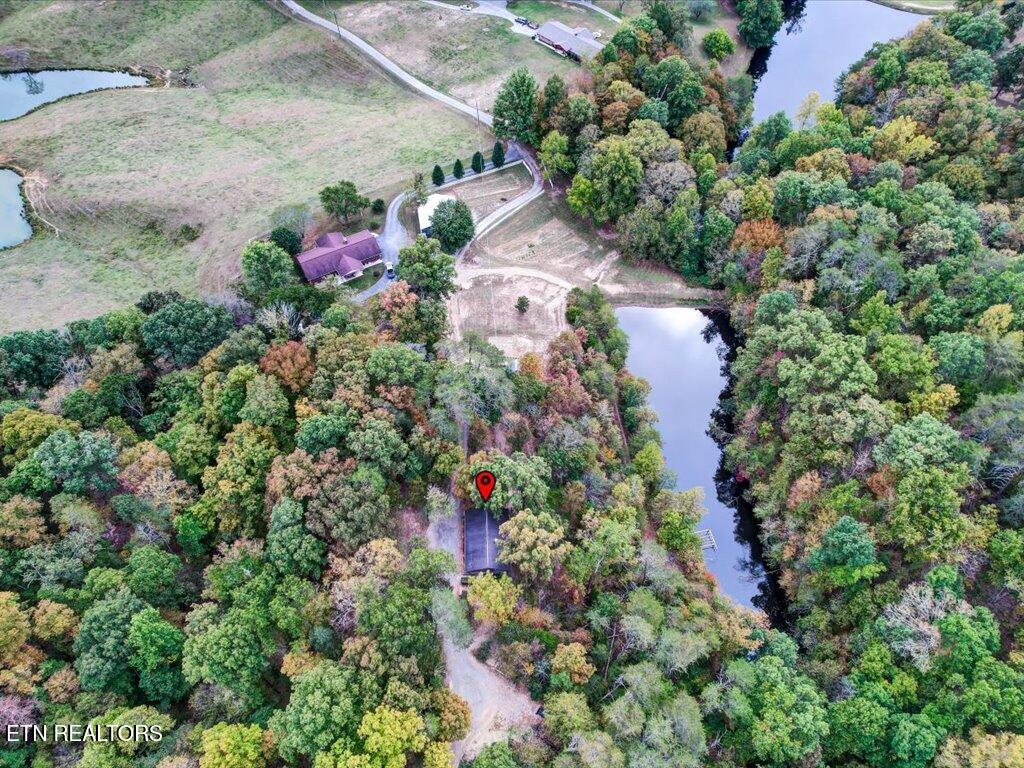 434 Henry Clark Lane Rutledge TN 37861