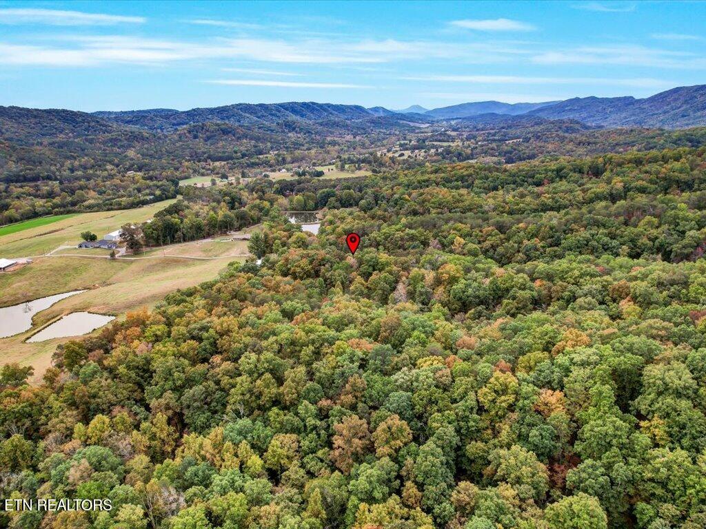 434 Henry Clark Lane Rutledge TN 37861