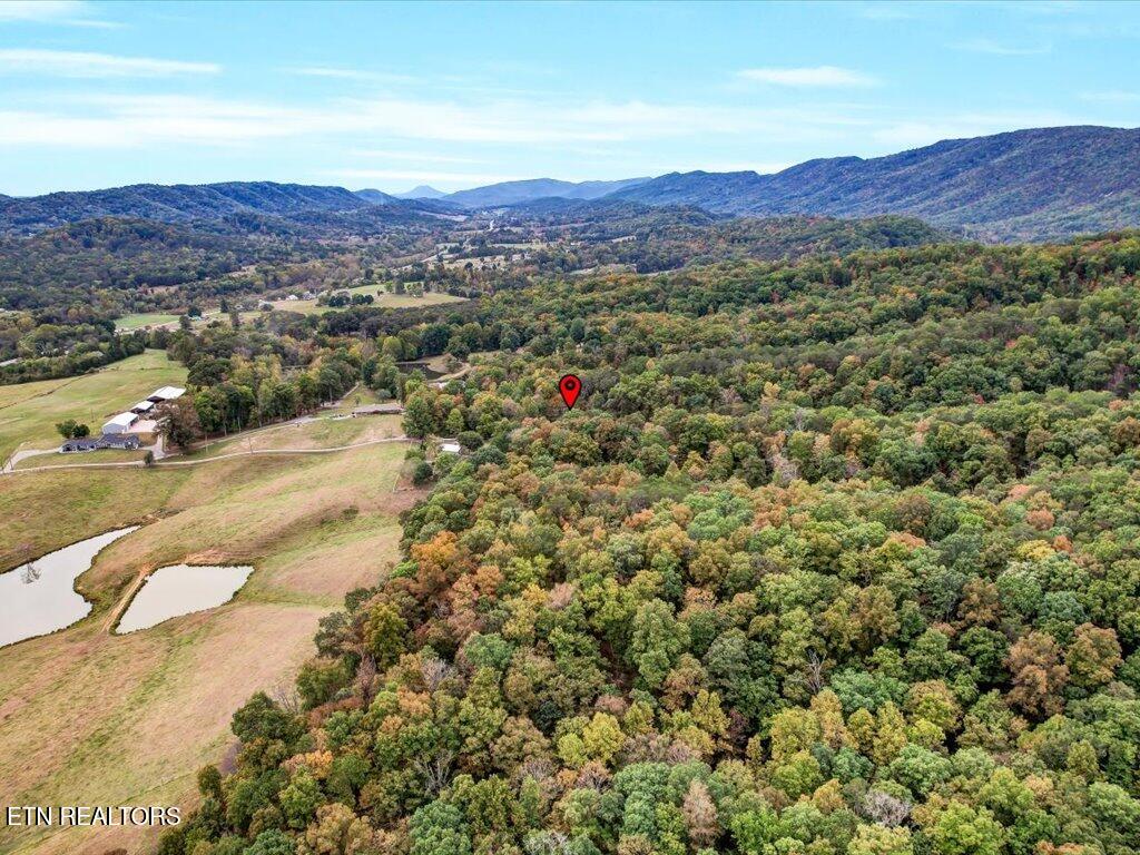 434 Henry Clark Lane Rutledge TN 37861