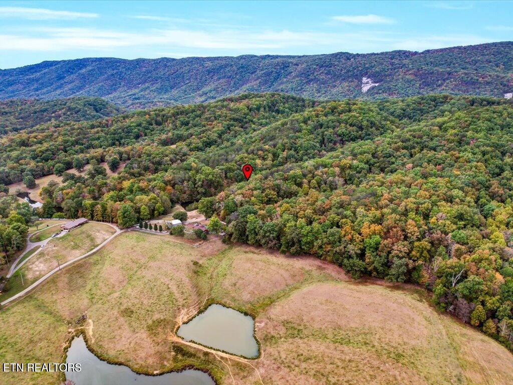 434 Henry Clark Lane Rutledge TN 37861