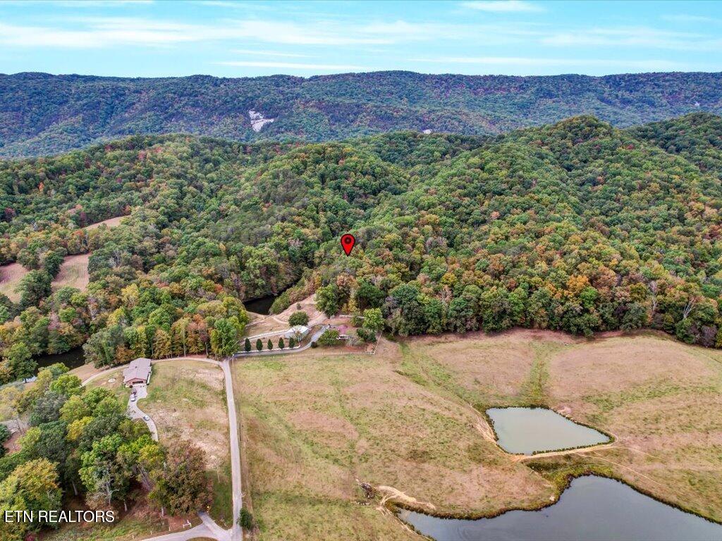 434 Henry Clark Lane Rutledge TN 37861