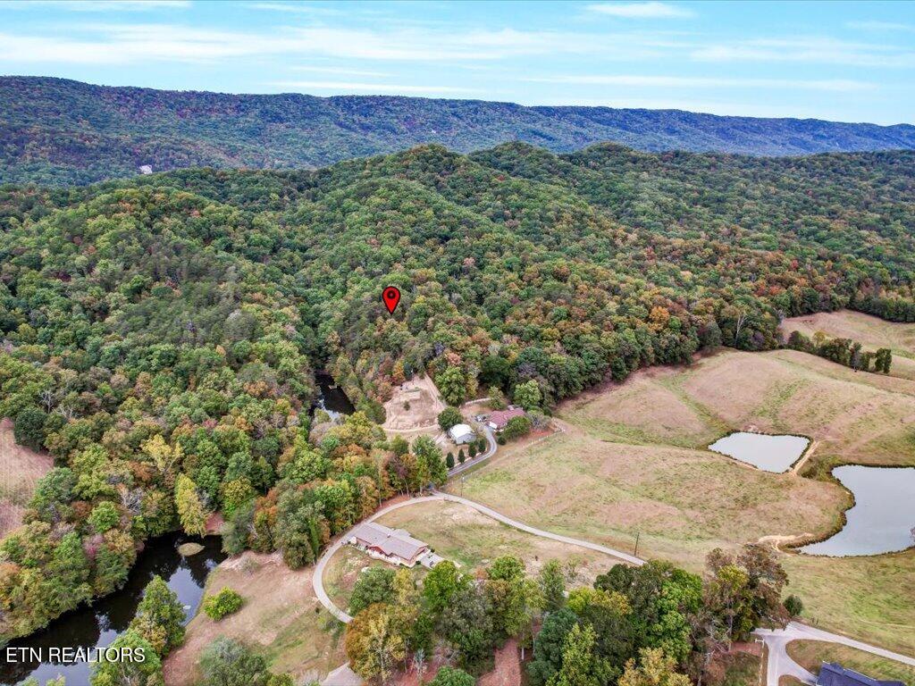 434 Henry Clark Lane Rutledge TN 37861