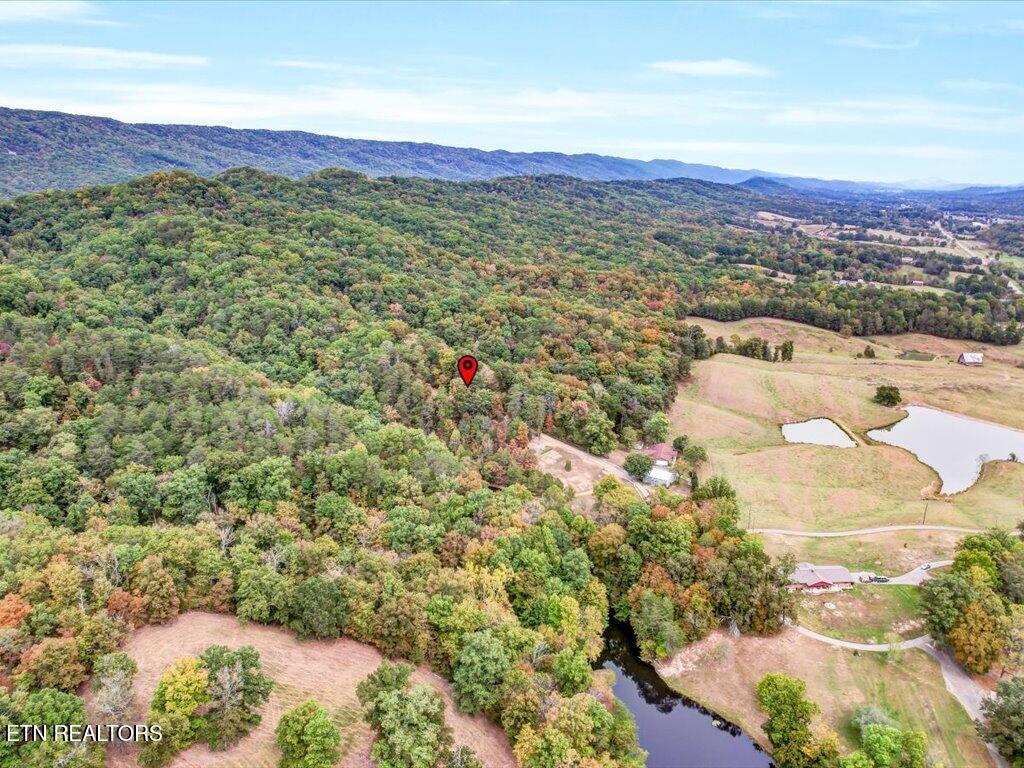 434 Henry Clark Lane Rutledge TN 37861