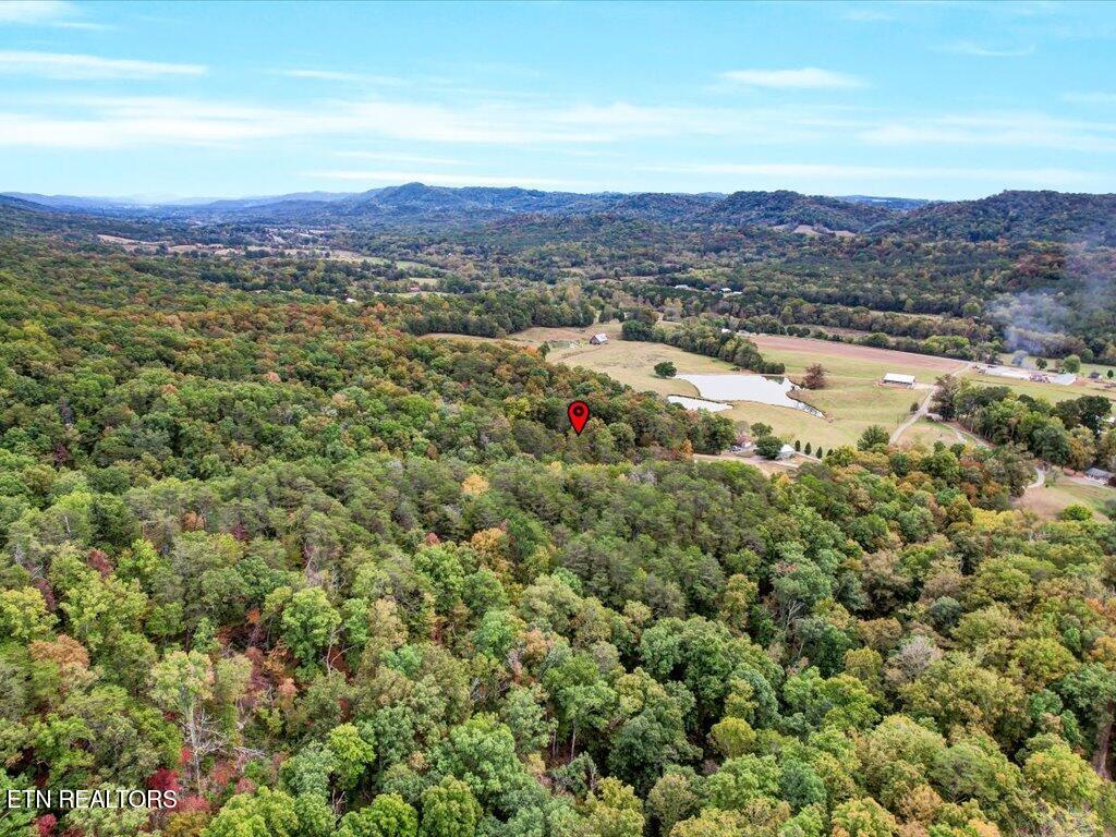434 Henry Clark Lane Rutledge TN 37861