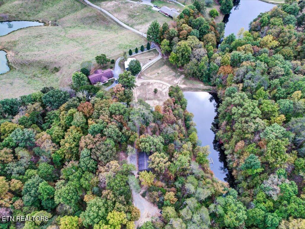 434 Henry Clark Lane Rutledge TN 37861