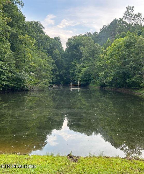 434 Henry Clark Lane Rutledge TN 37861