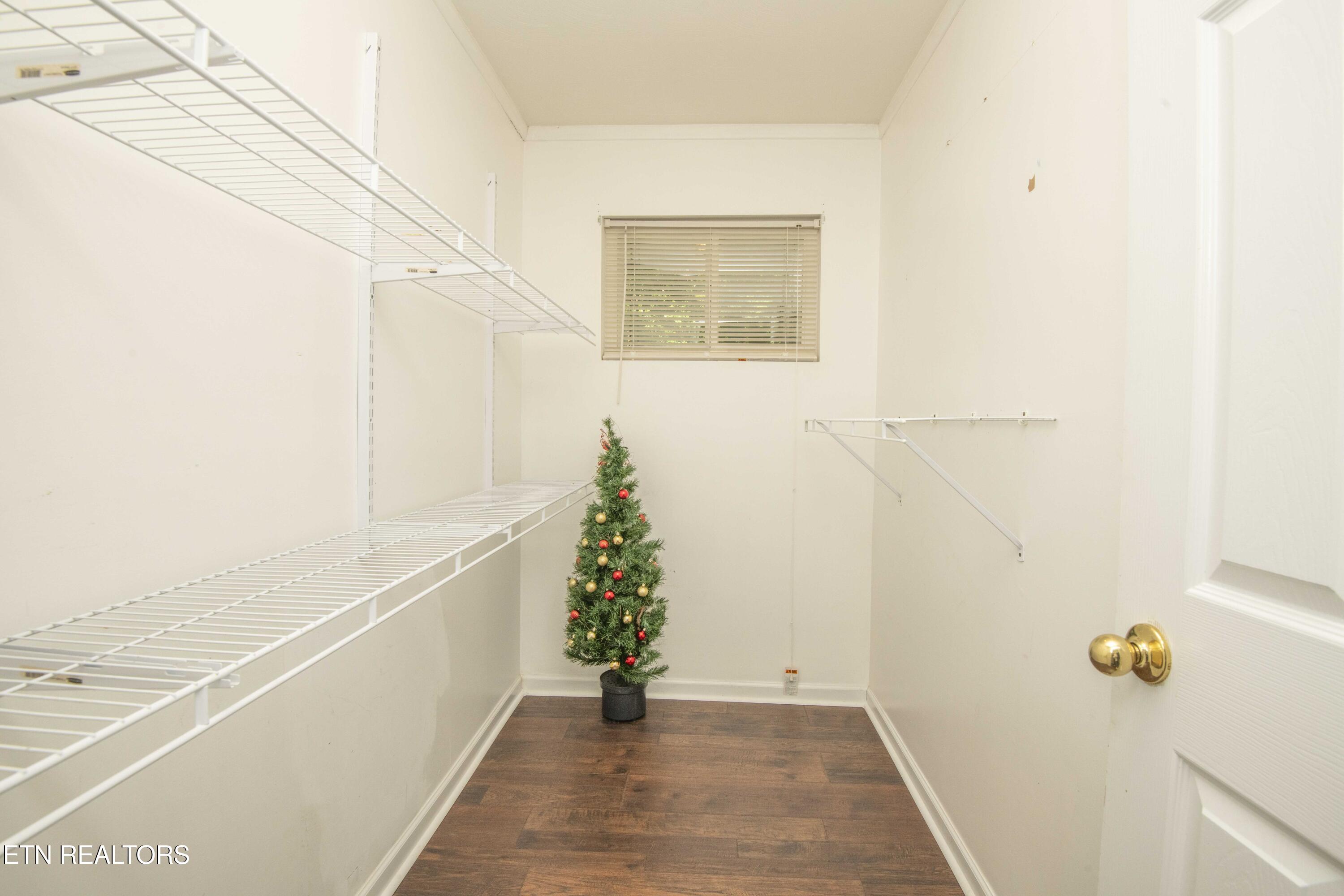 136 Mimosa Avenue Rockwood TN 37854