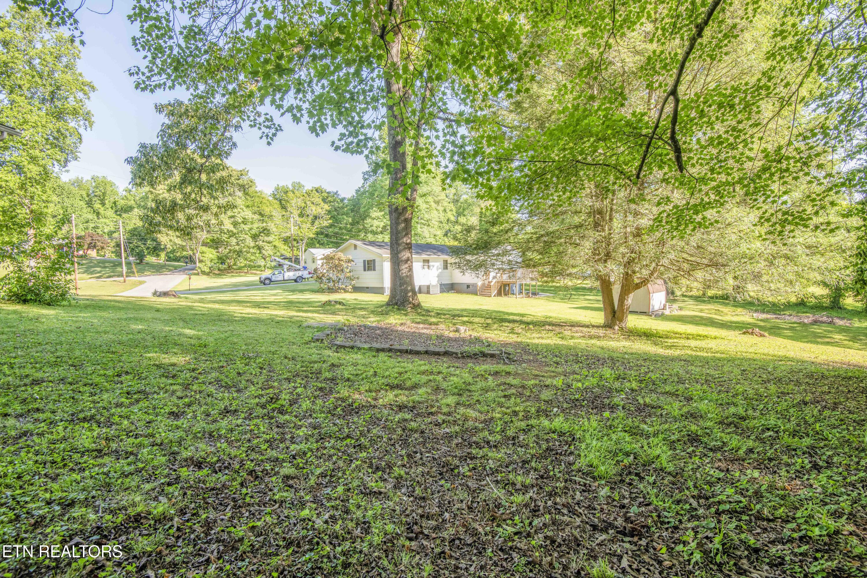 136 Mimosa Avenue Rockwood TN 37854
