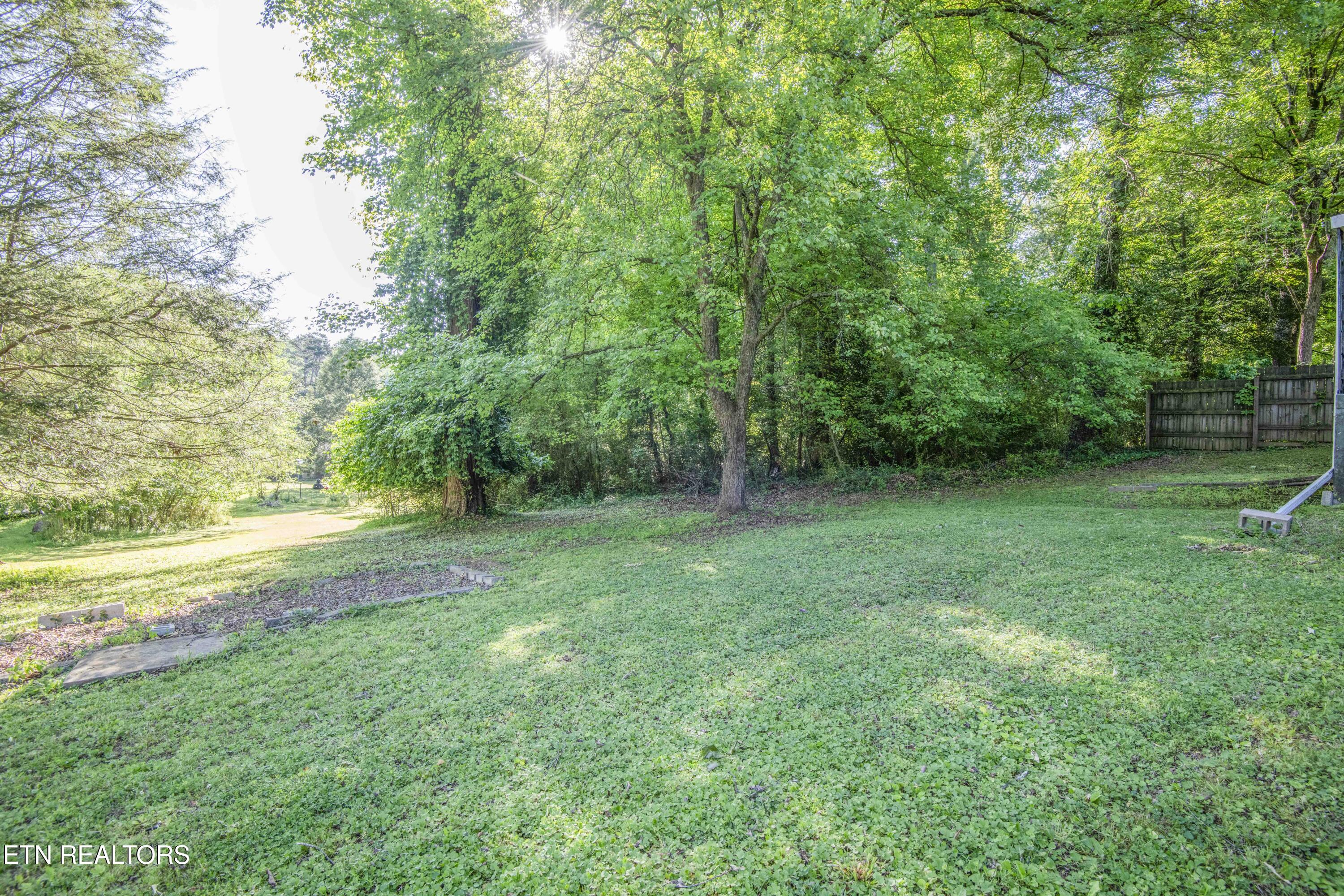 136 Mimosa Avenue Rockwood TN 37854